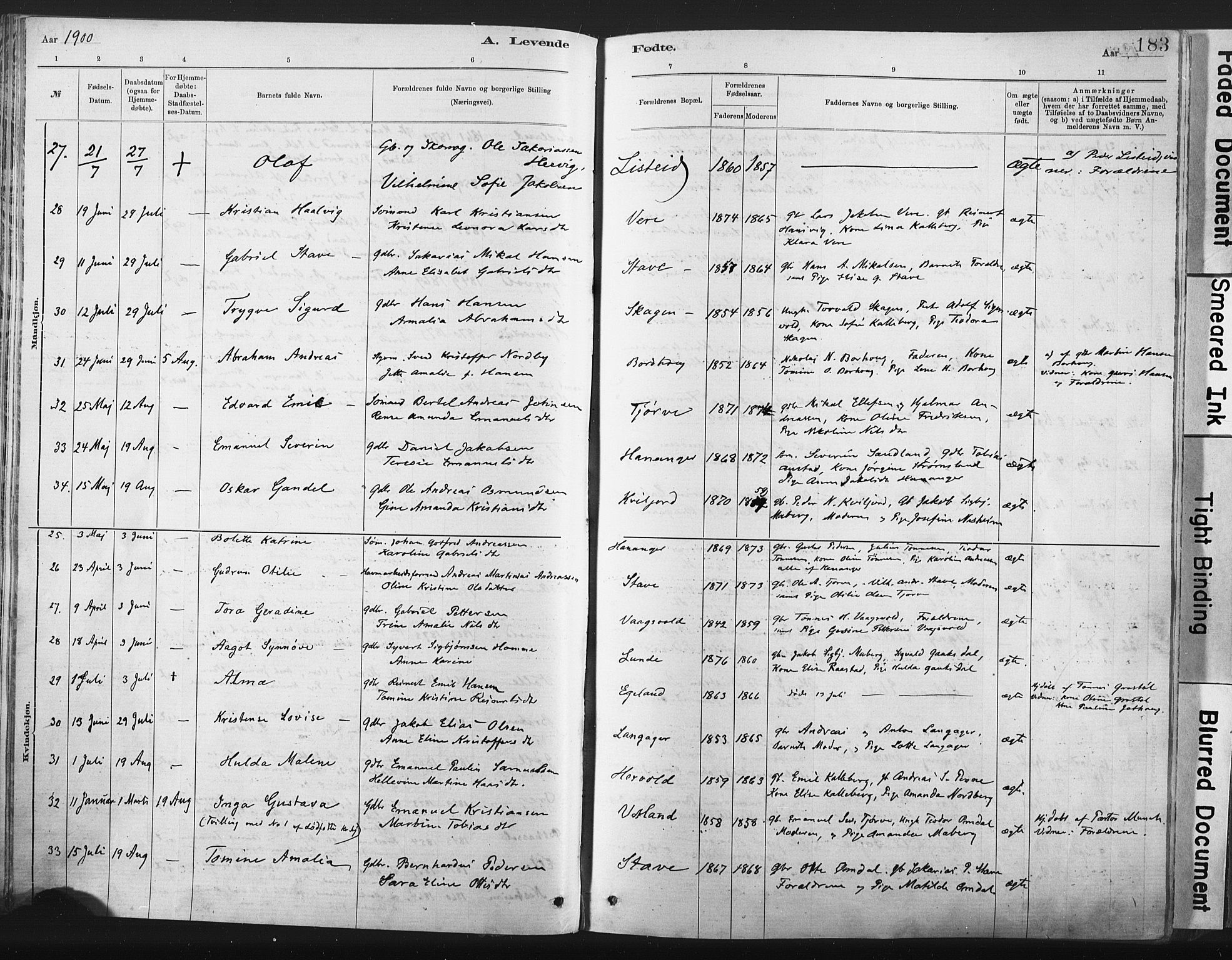 Lista sokneprestkontor, AV/SAK-1111-0027/F/Fa/L0012: Parish register (official) no. A 12, 1879-1903, p. 183