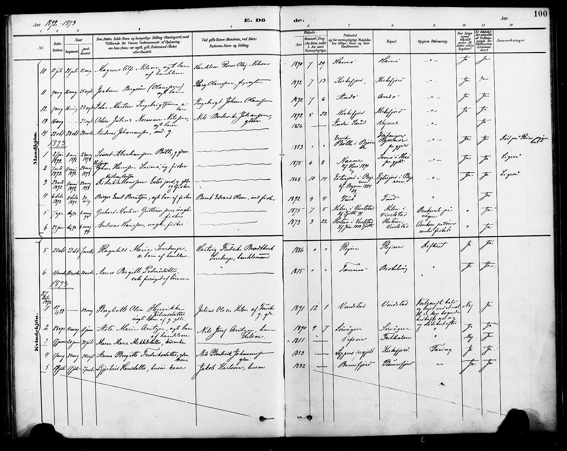 Ministerialprotokoller, klokkerbøker og fødselsregistre - Nordland, AV/SAT-A-1459/886/L1220: Parish register (official) no. 886A02, 1892-1903, p. 100