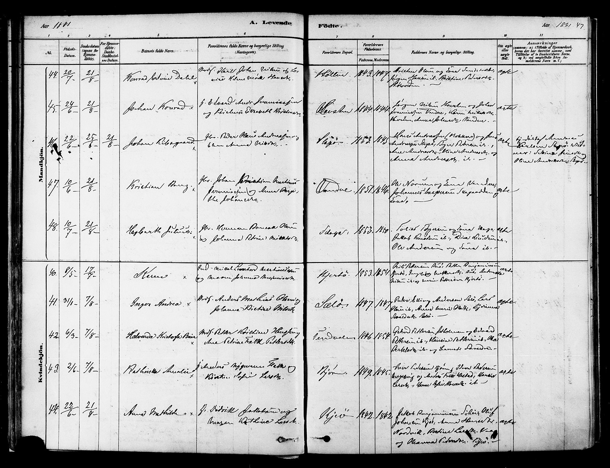 Ministerialprotokoller, klokkerbøker og fødselsregistre - Nordland, AV/SAT-A-1459/834/L0507: Parish register (official) no. 834A05, 1878-1892, p. 47