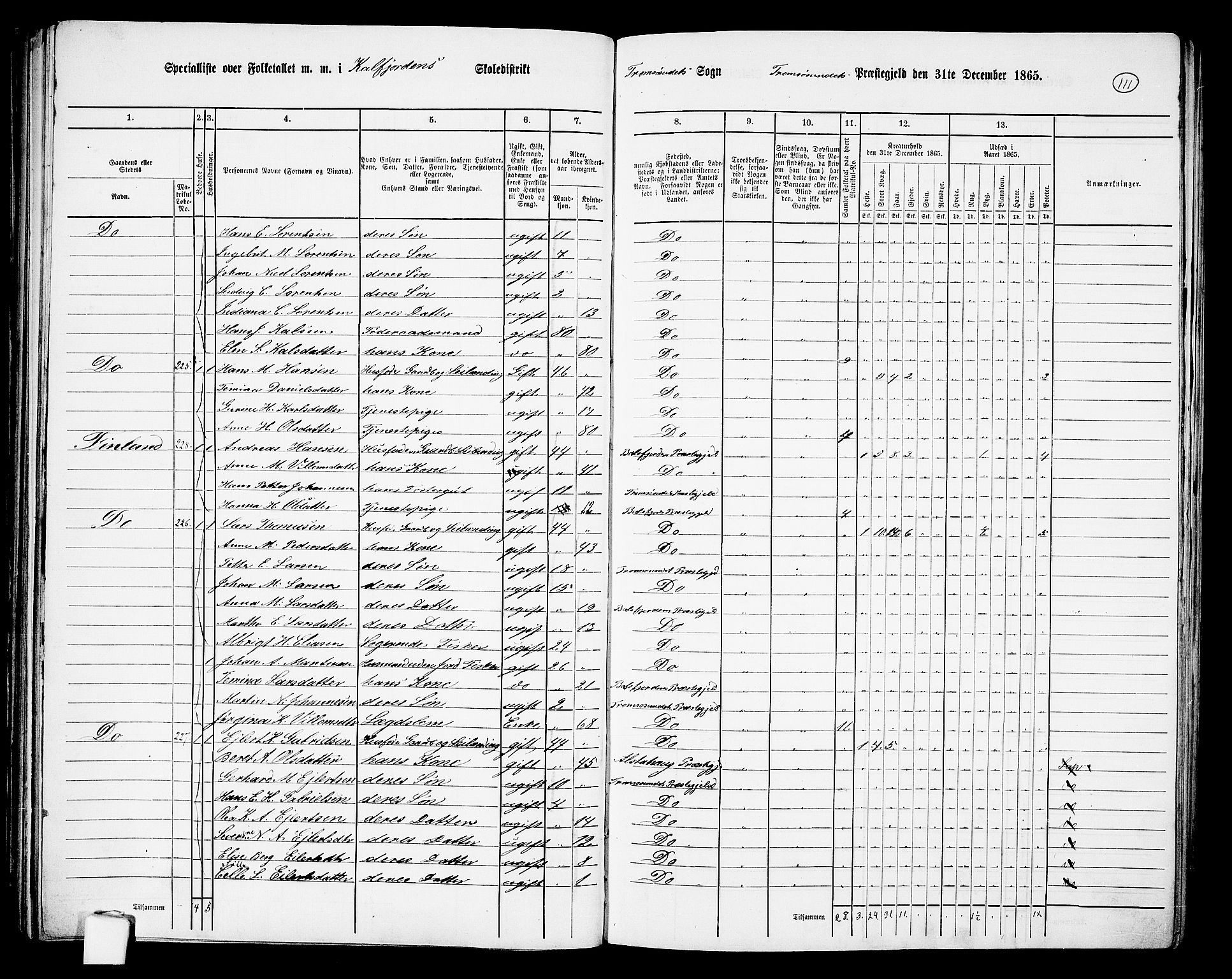 RA, 1865 census for Tromsøysund, 1865, p. 95