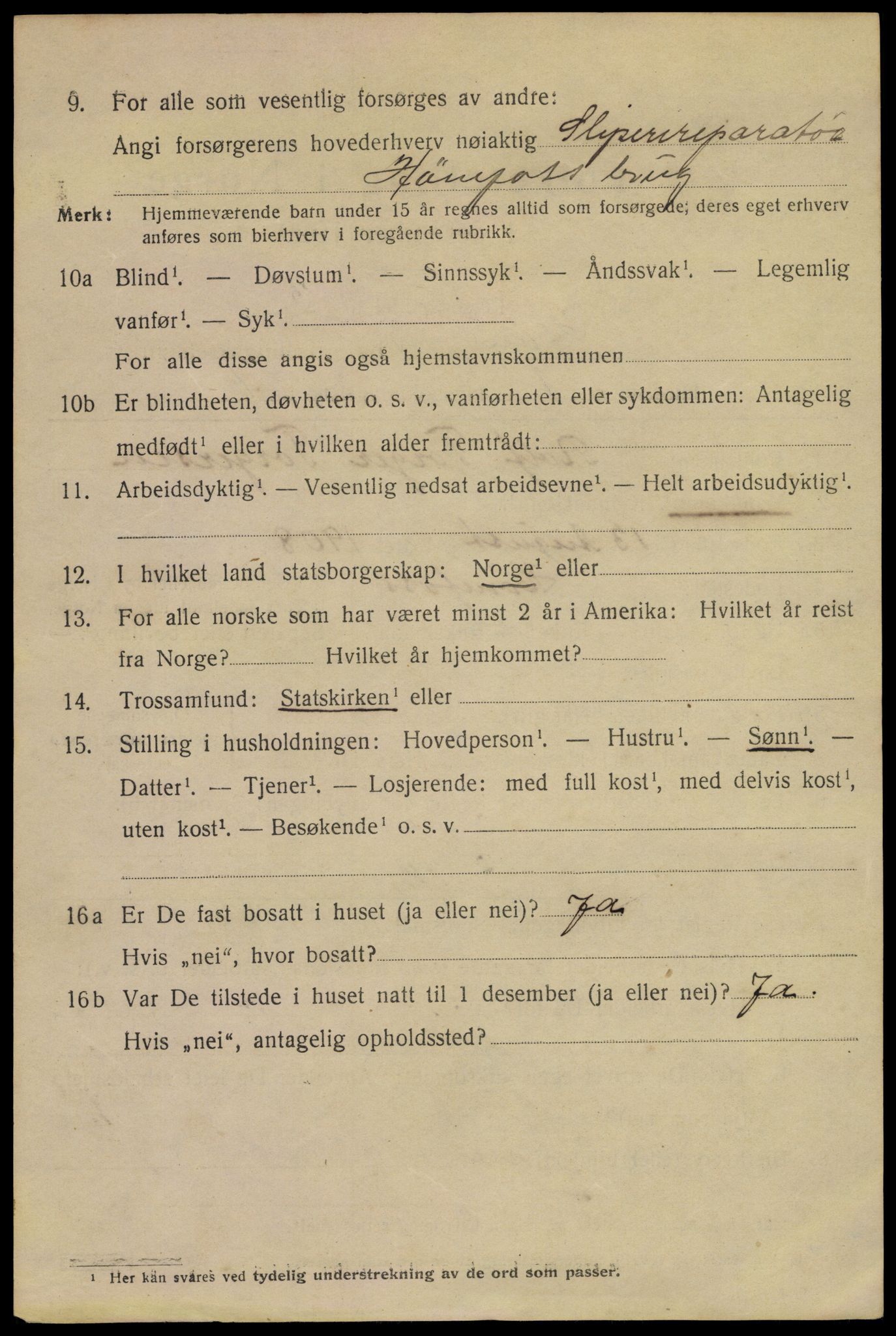SAKO, 1920 census for Hønefoss, 1920, p. 3847