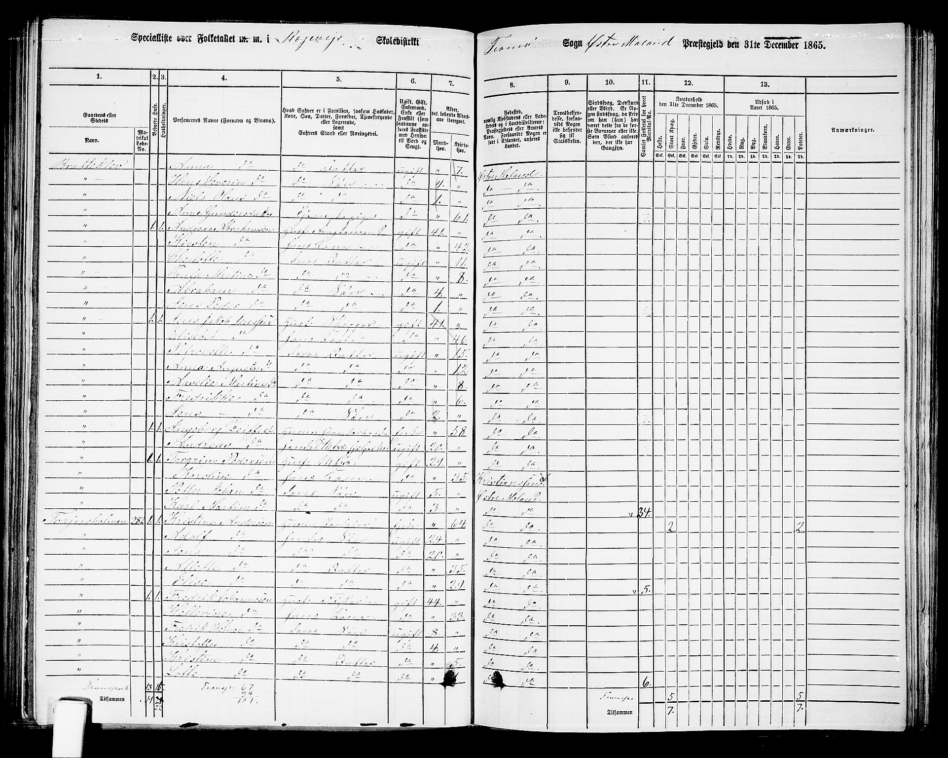 RA, 1865 census for Austre Moland, 1865, p. 234