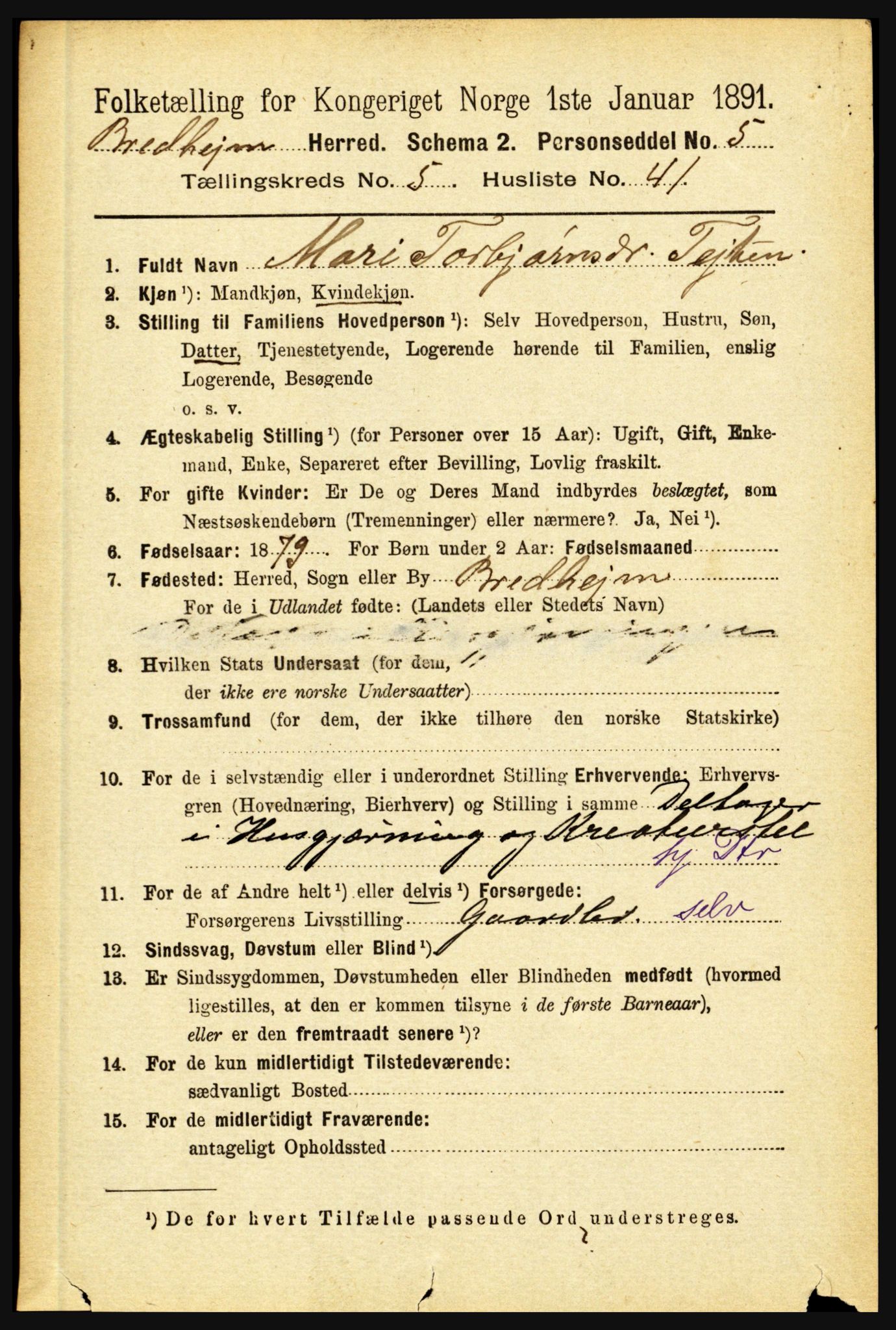 RA, 1891 census for 1446 Breim, 1891, p. 2045