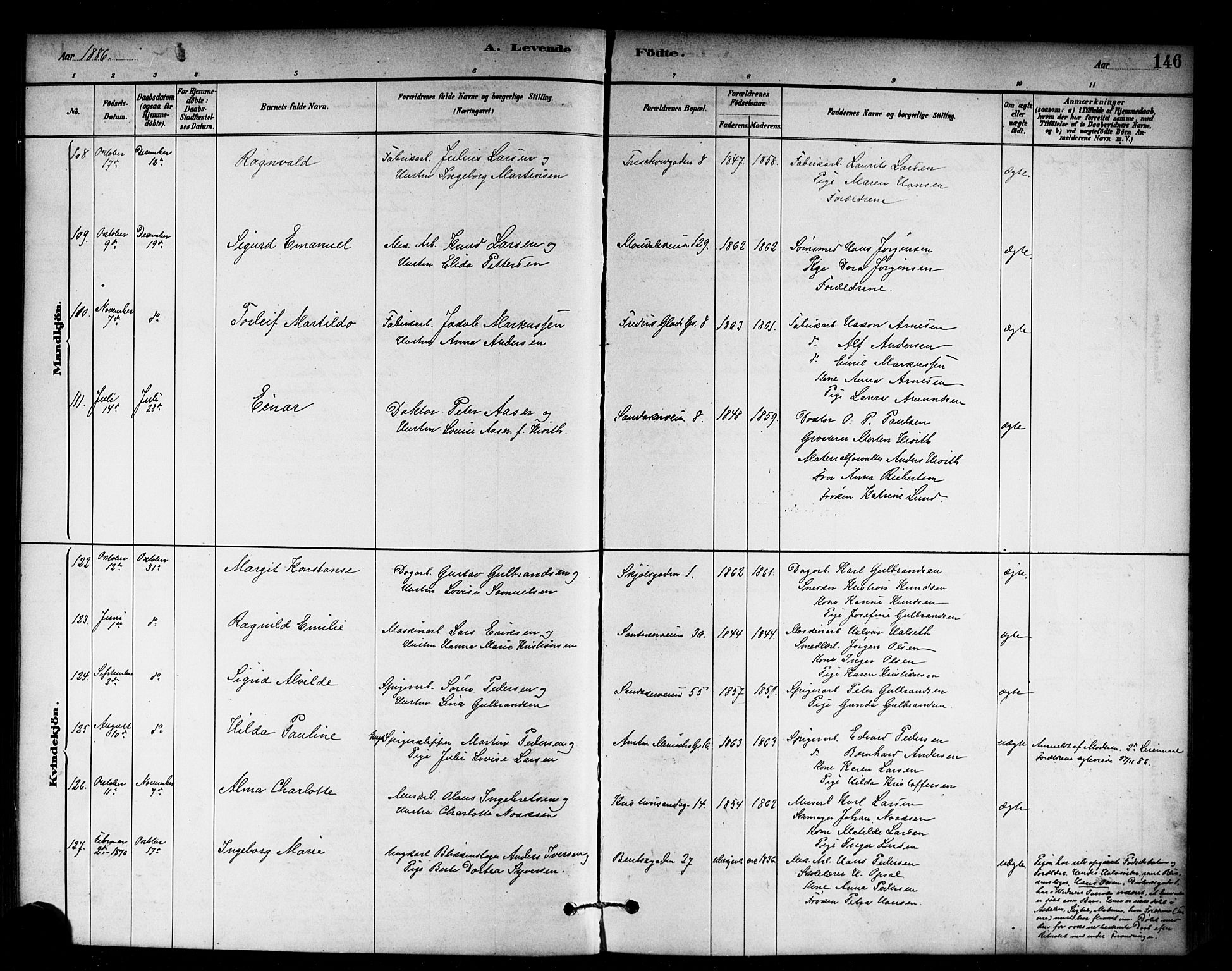 Sagene prestekontor Kirkebøker, AV/SAO-A-10796/G/L0001: Parish register (copy) no. 1, 1880-1891, p. 146