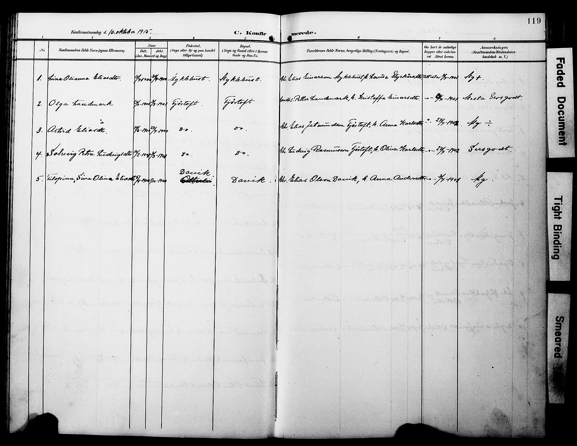 Ministerialprotokoller, klokkerbøker og fødselsregistre - Møre og Romsdal, AV/SAT-A-1454/538/L0524: Parish register (copy) no. 538C02, 1901-1931, p. 119