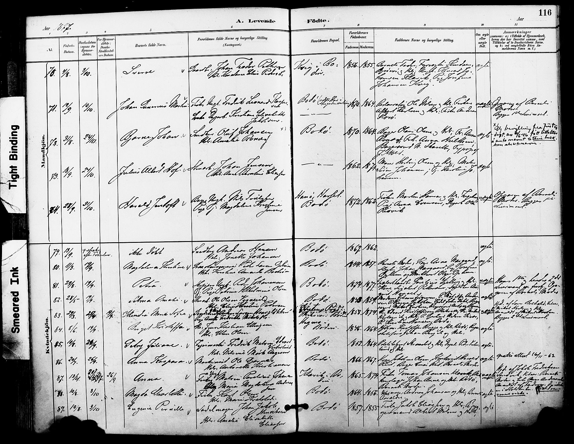 Ministerialprotokoller, klokkerbøker og fødselsregistre - Nordland, AV/SAT-A-1459/801/L0010: Parish register (official) no. 801A10, 1888-1899, p. 116