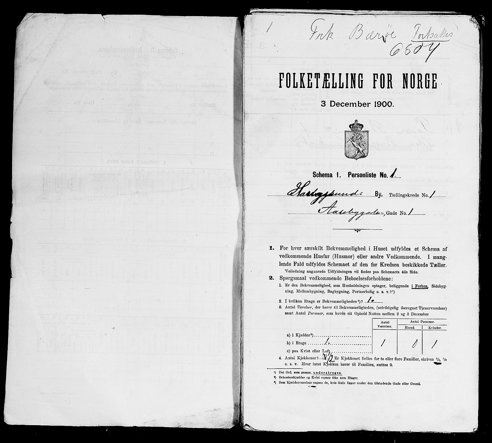 SAST, 1900 census for Haugesund, 1900, p. 107