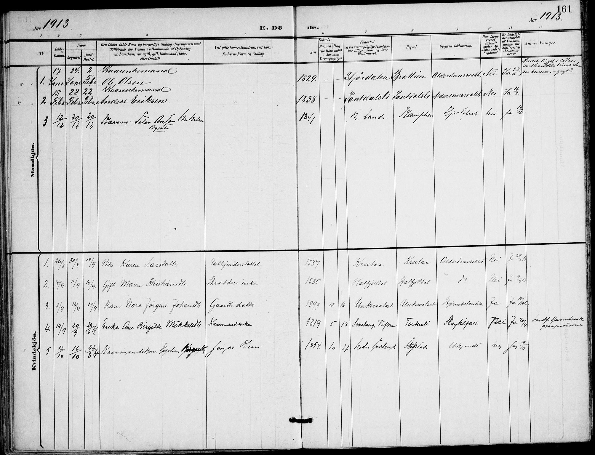 Ministerialprotokoller, klokkerbøker og fødselsregistre - Nordland, AV/SAT-A-1459/823/L0326: Parish register (official) no. 823A03, 1899-1919, p. 161