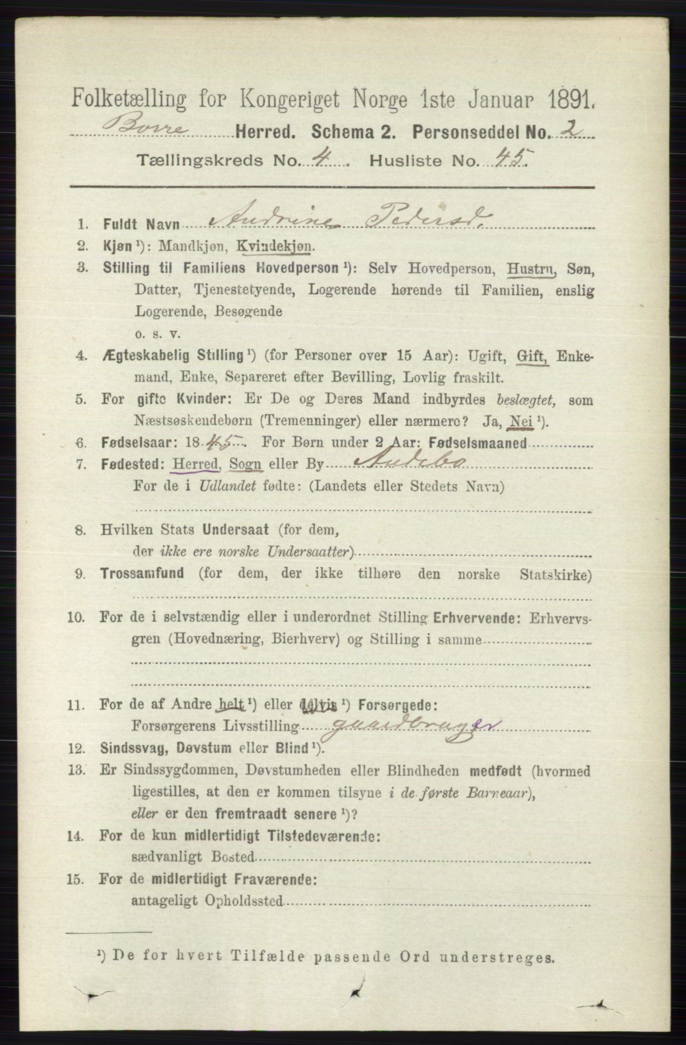 RA, 1891 census for 0717 Borre, 1891, p. 1906