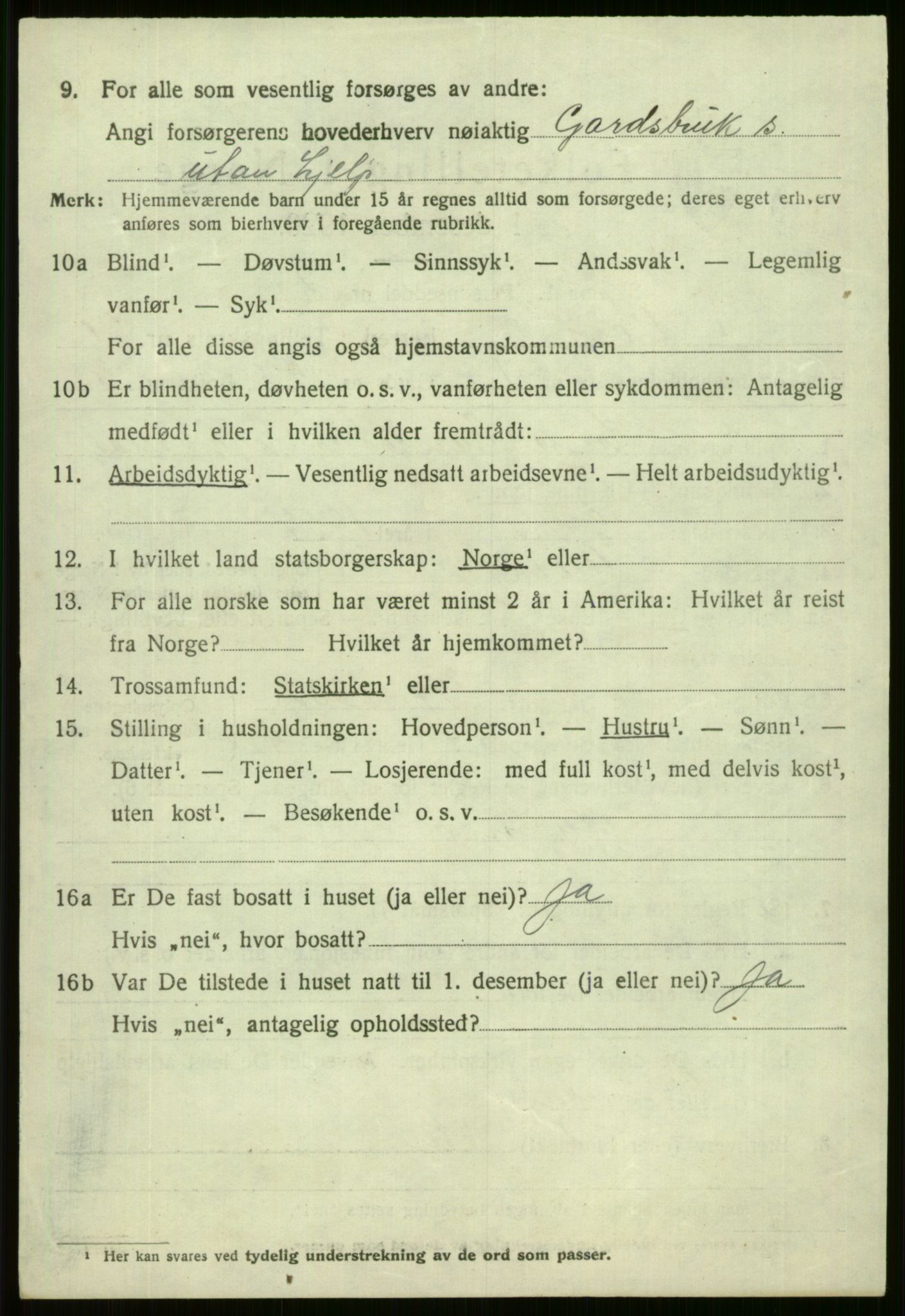 SAB, 1920 census for Voss, 1920, p. 14732