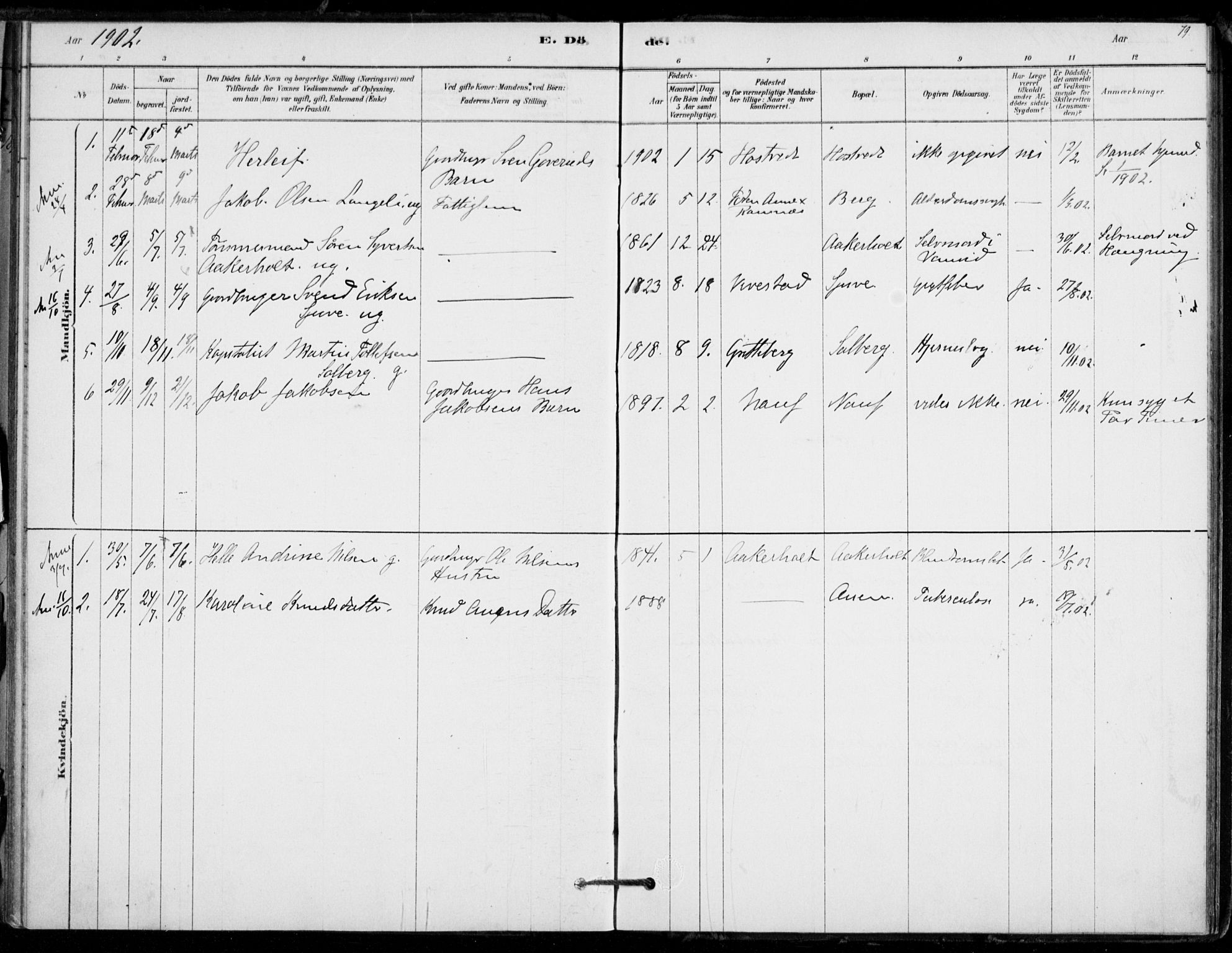 Hof kirkebøker, SAKO/A-64/F/Fb/L0001: Parish register (official) no. II 1, 1878-1907, p. 79