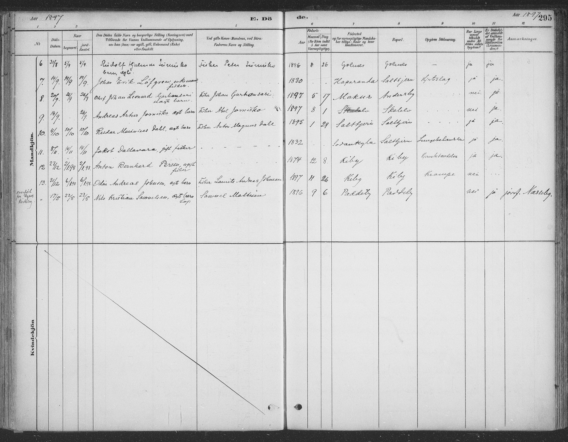 Vadsø sokneprestkontor, SATØ/S-1325/H/Ha/L0009kirke: Parish register (official) no. 9, 1881-1917, p. 295