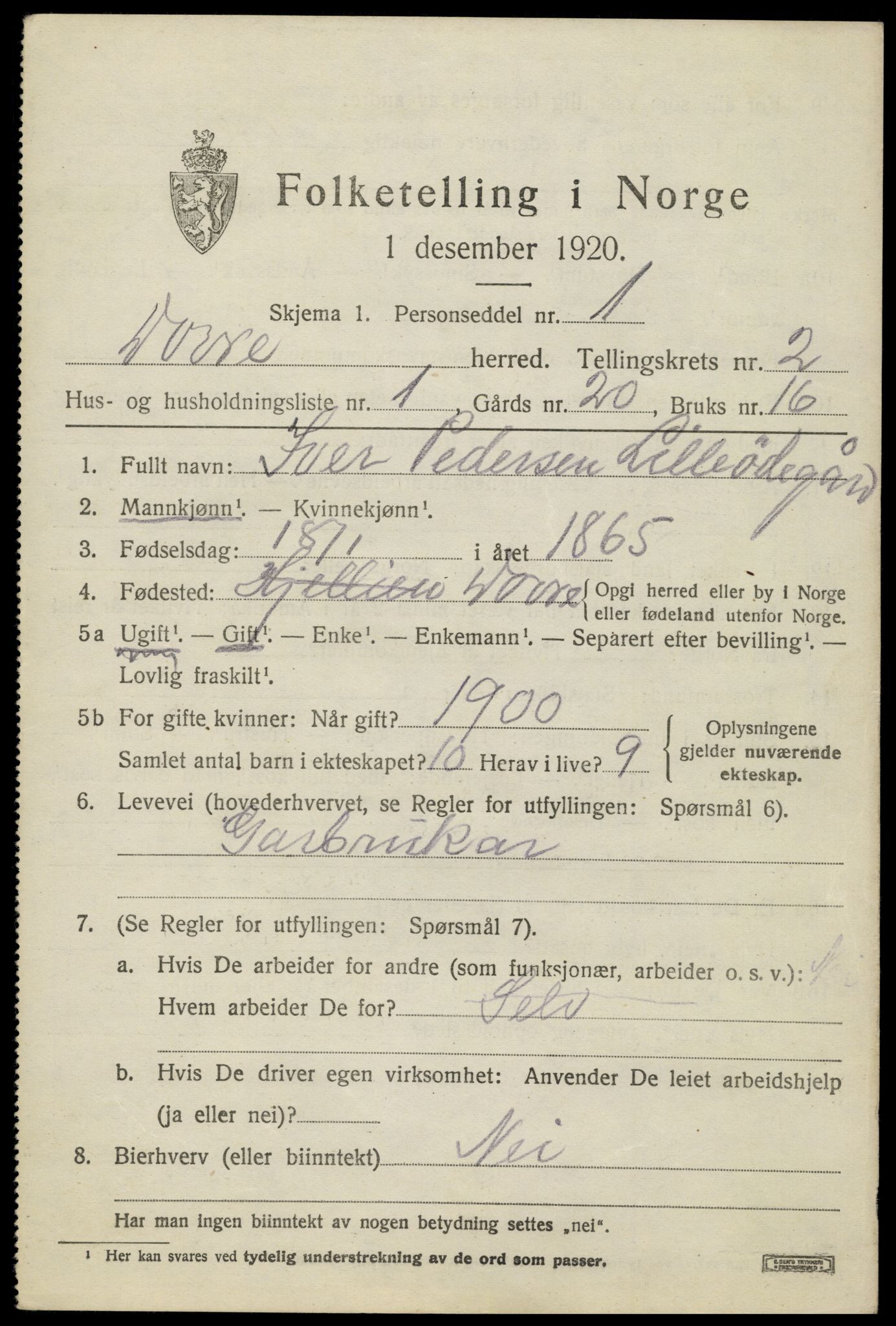 SAH, 1920 census for Dovre, 1920, p. 2402