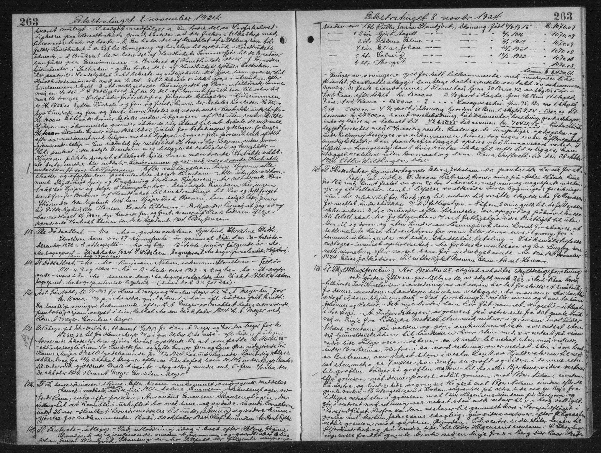 Rana sorenskriveri , AV/SAT-A-1108/1/2/2C/L0018: Mortgage book no. 18, 1923-1928, p. 263, Deed date: 08.11.1924