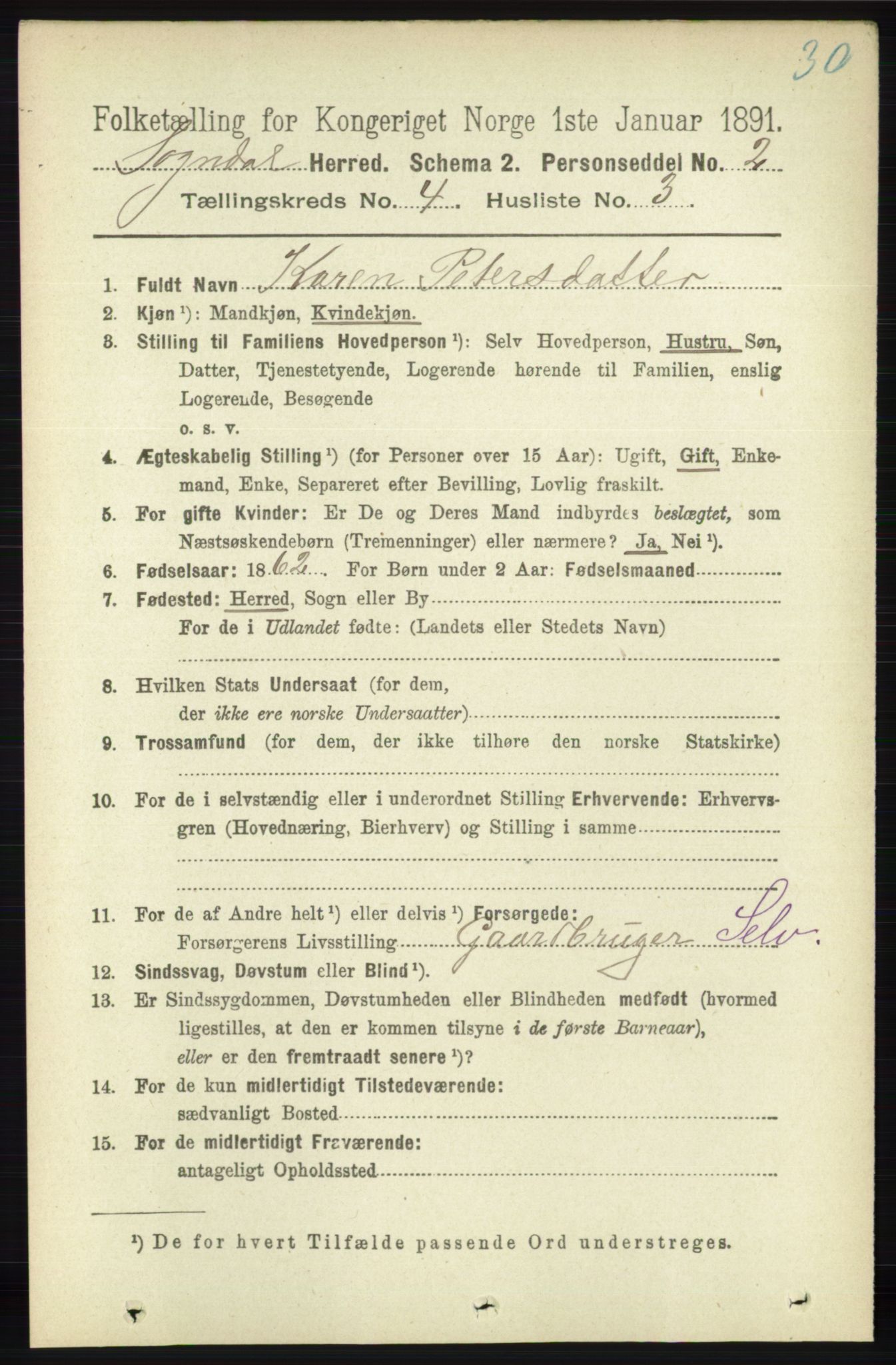 RA, 1891 census for 1111 Sokndal, 1891, p. 1010