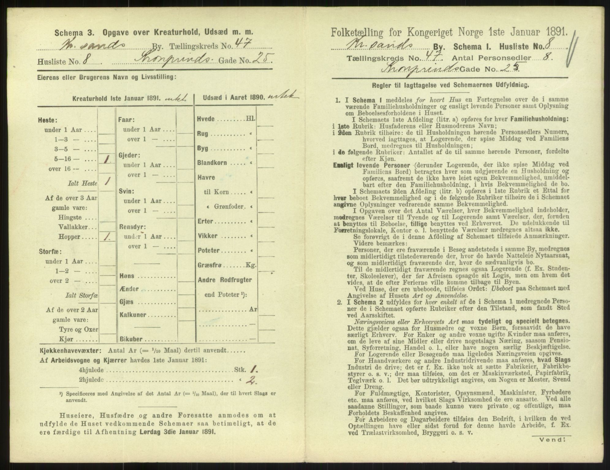 RA, 1891 census for 1001 Kristiansand, 1891, p. 2616