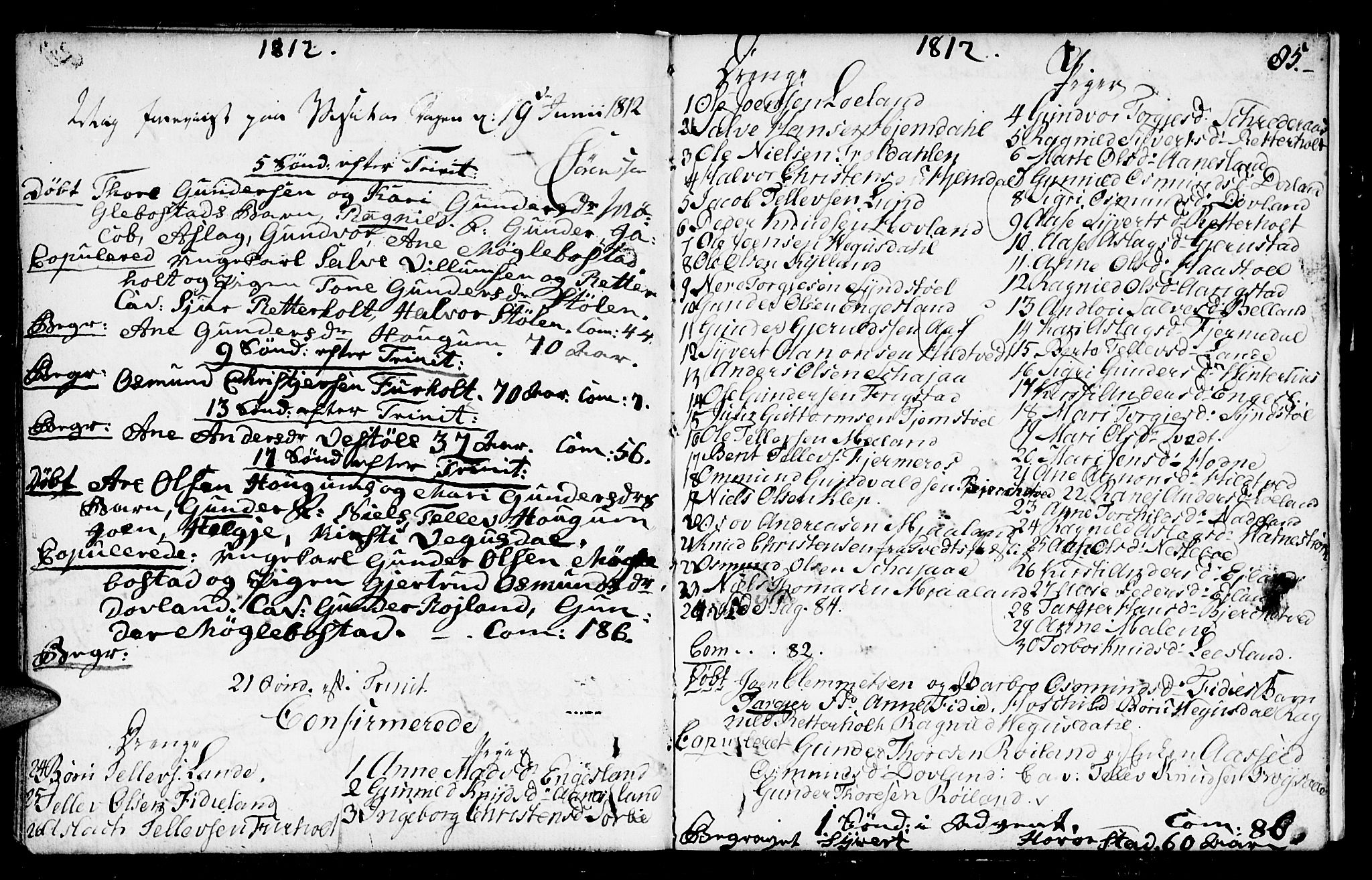Herefoss sokneprestkontor, SAK/1111-0019/F/Fa/Fab/L0002: Parish register (official) no. A 2, 1780-1816, p. 85