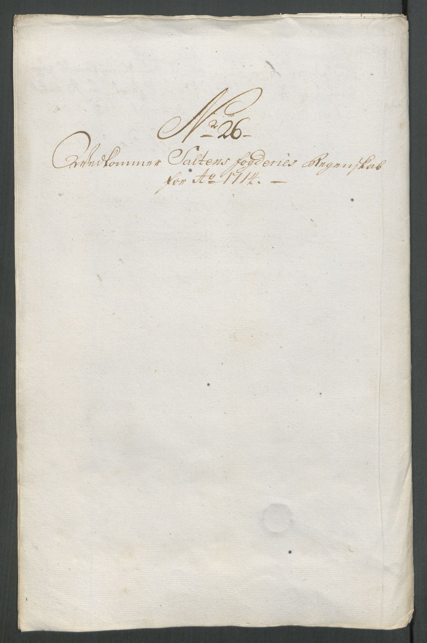 Rentekammeret inntil 1814, Reviderte regnskaper, Fogderegnskap, RA/EA-4092/R66/L4584: Fogderegnskap Salten, 1714, p. 239