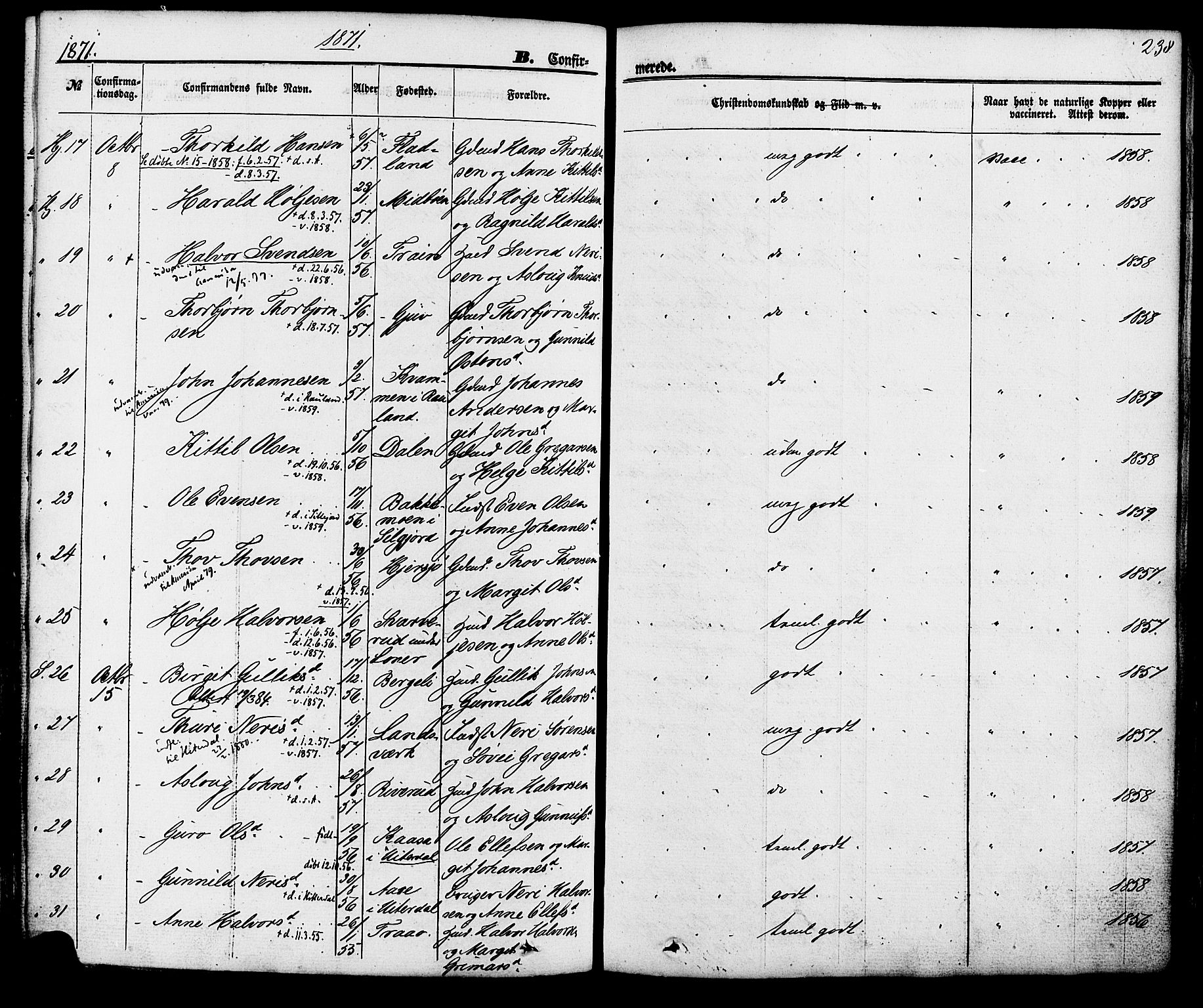 Hjartdal kirkebøker, AV/SAKO-A-270/F/Fa/L0009: Parish register (official) no. I 9, 1860-1879, p. 238