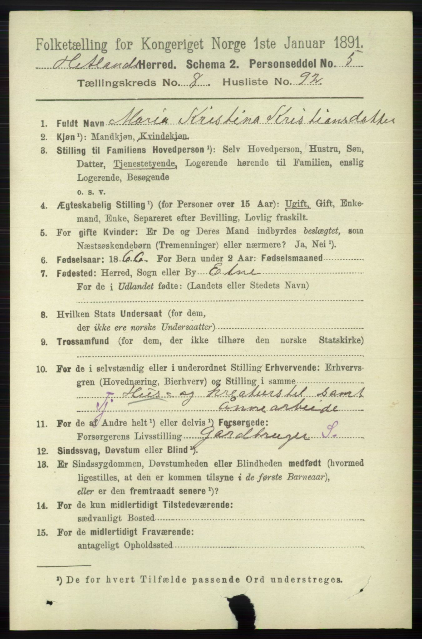 RA, 1891 census for 1126 Hetland, 1891, p. 5002