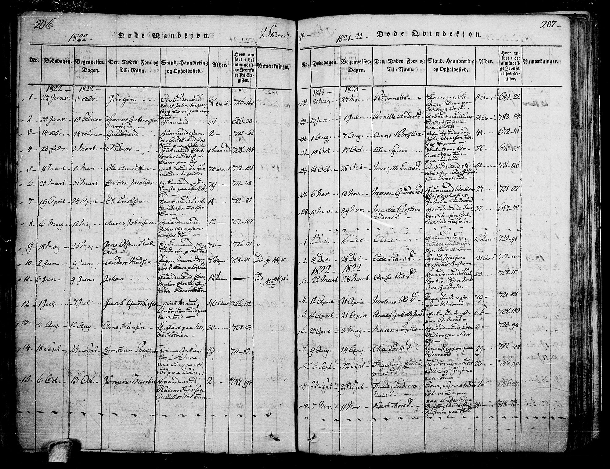 Skoger kirkebøker, AV/SAKO-A-59/F/Fa/L0002: Parish register (official) no. I 2 /1, 1814-1842, p. 206-207