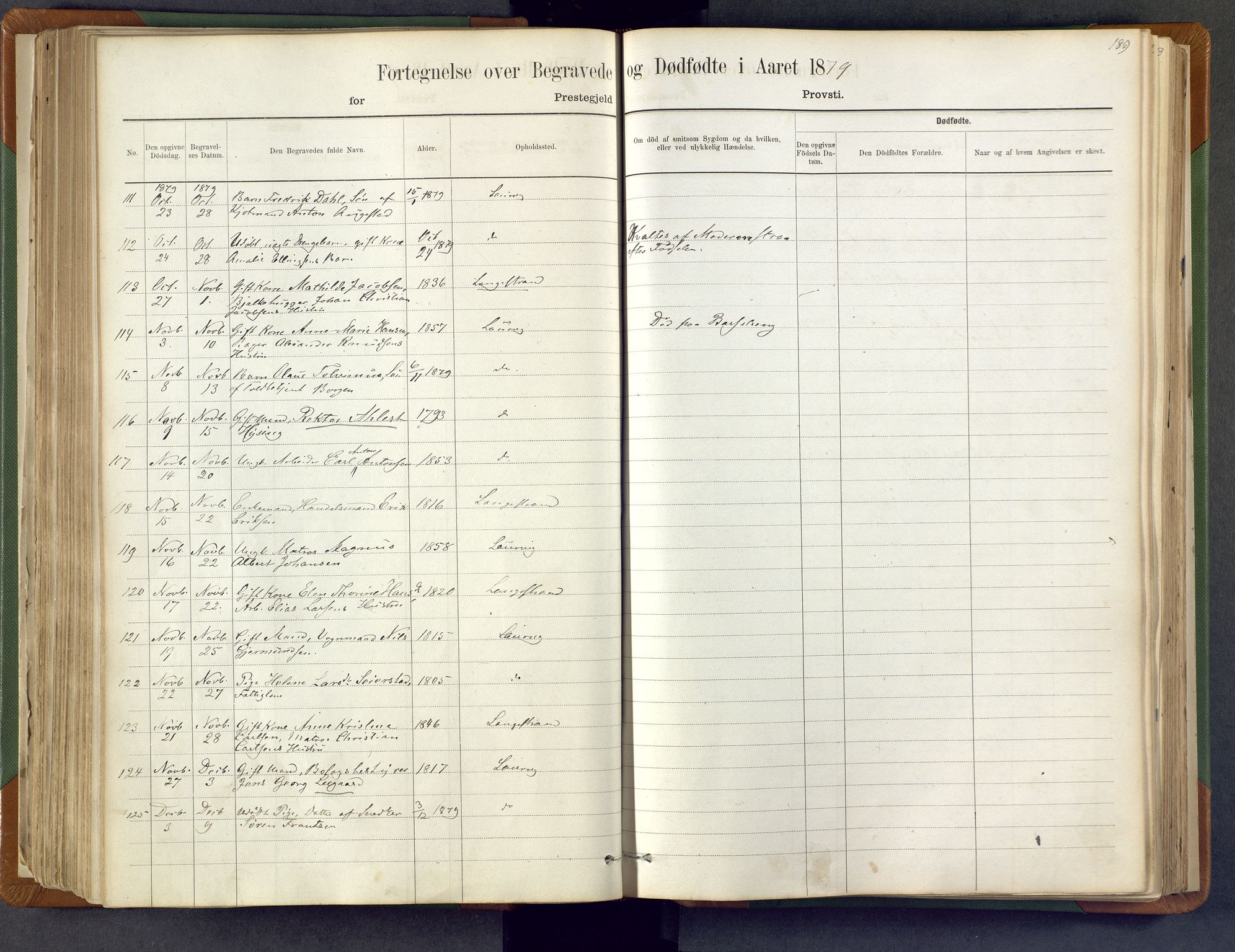 Larvik kirkebøker, SAKO/A-352/F/Fa/L0007: Parish register (official) no. I 7, 1871-1883, p. 189