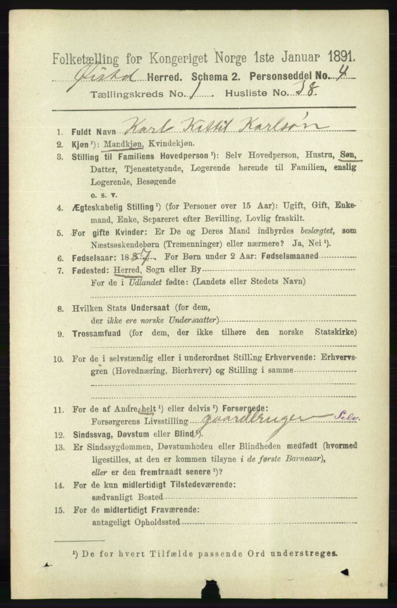 RA, 1891 census for 0920 Øyestad, 1891, p. 293