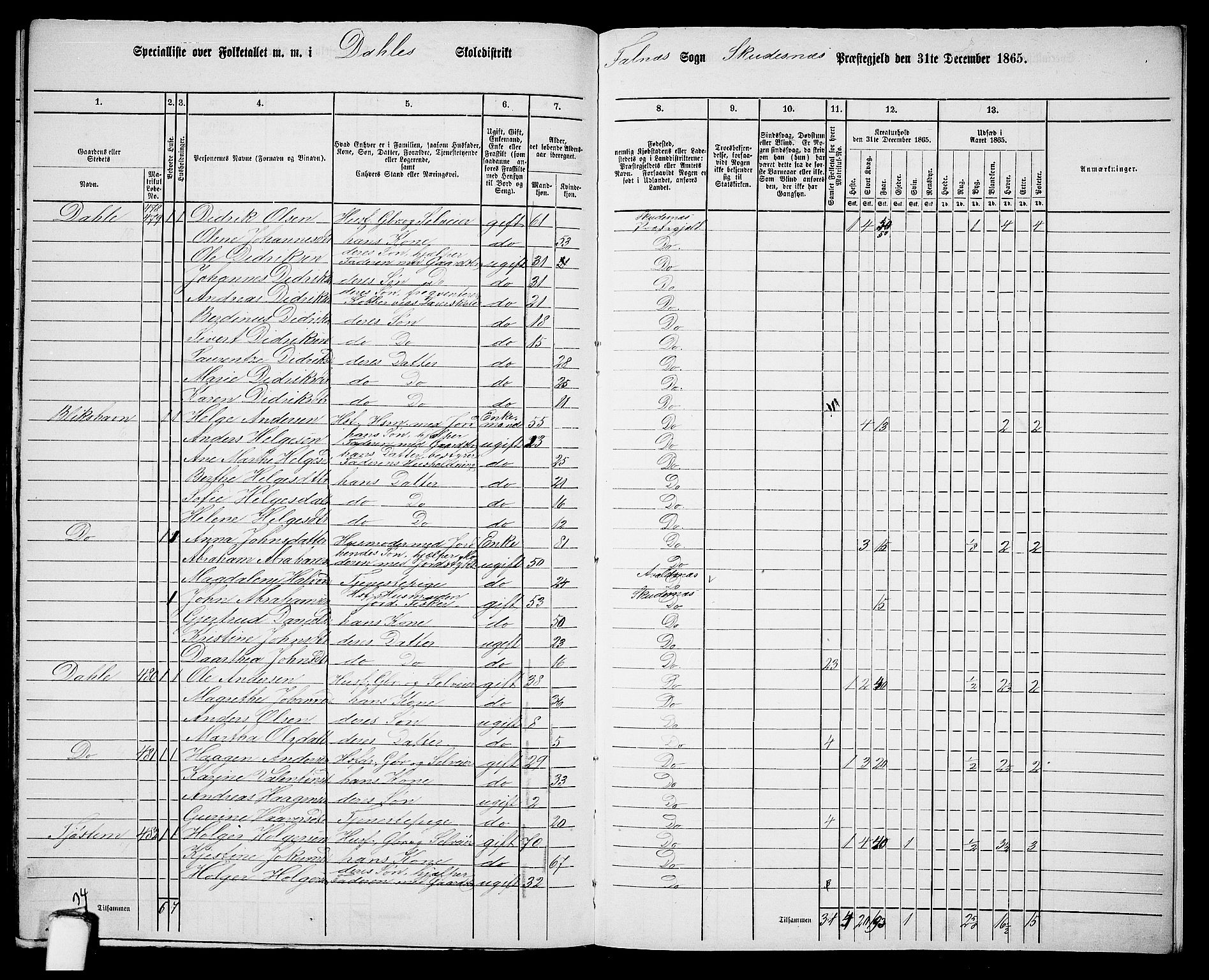 RA, 1865 census for Skudenes, 1865, p. 195
