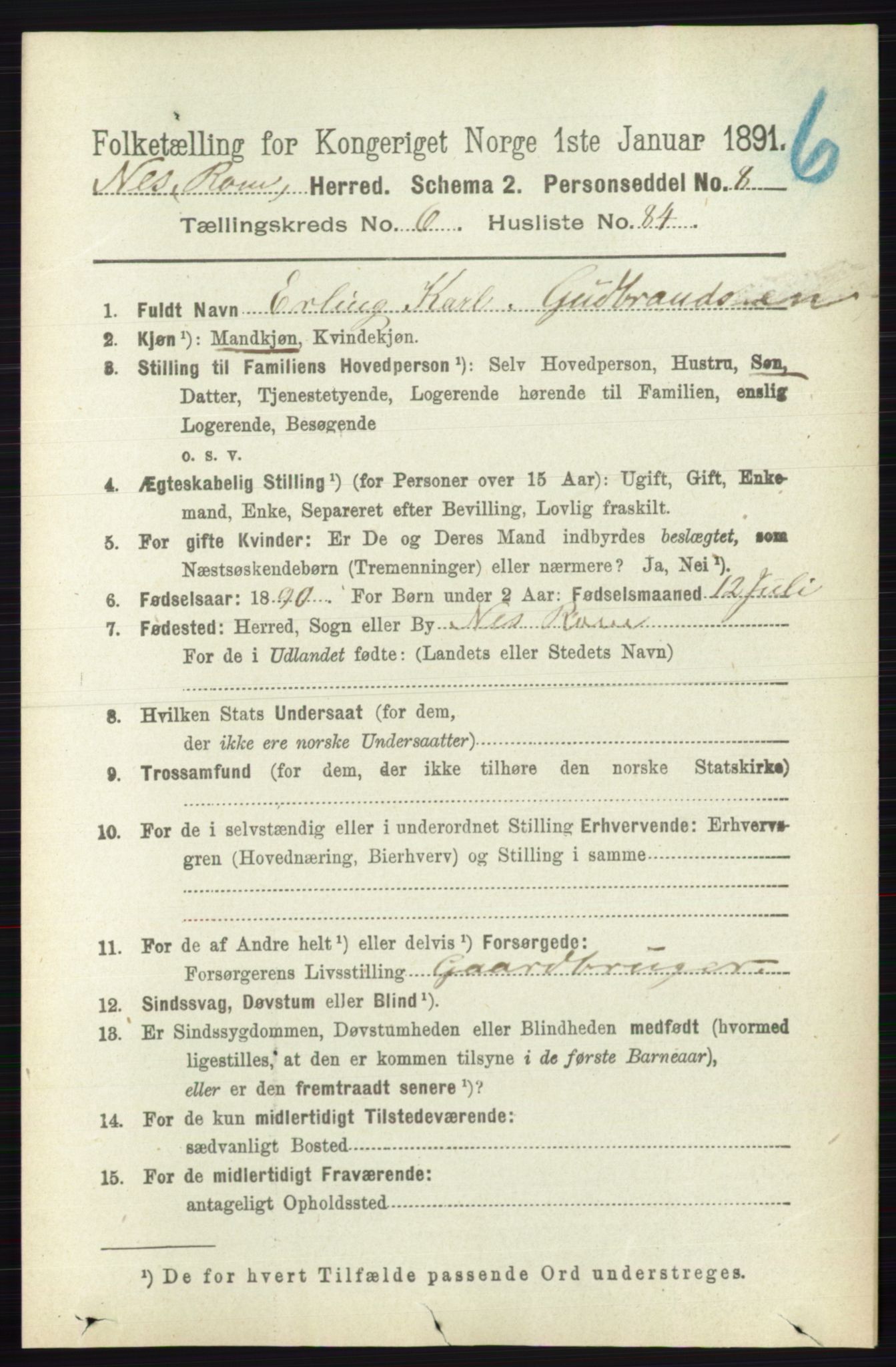 RA, 1891 census for 0236 Nes, 1891, p. 3907