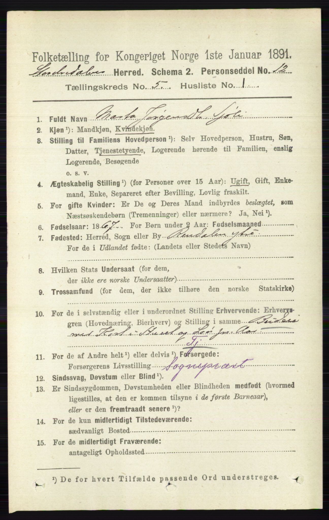 RA, 1891 census for 0430 Stor-Elvdal, 1891, p. 1725