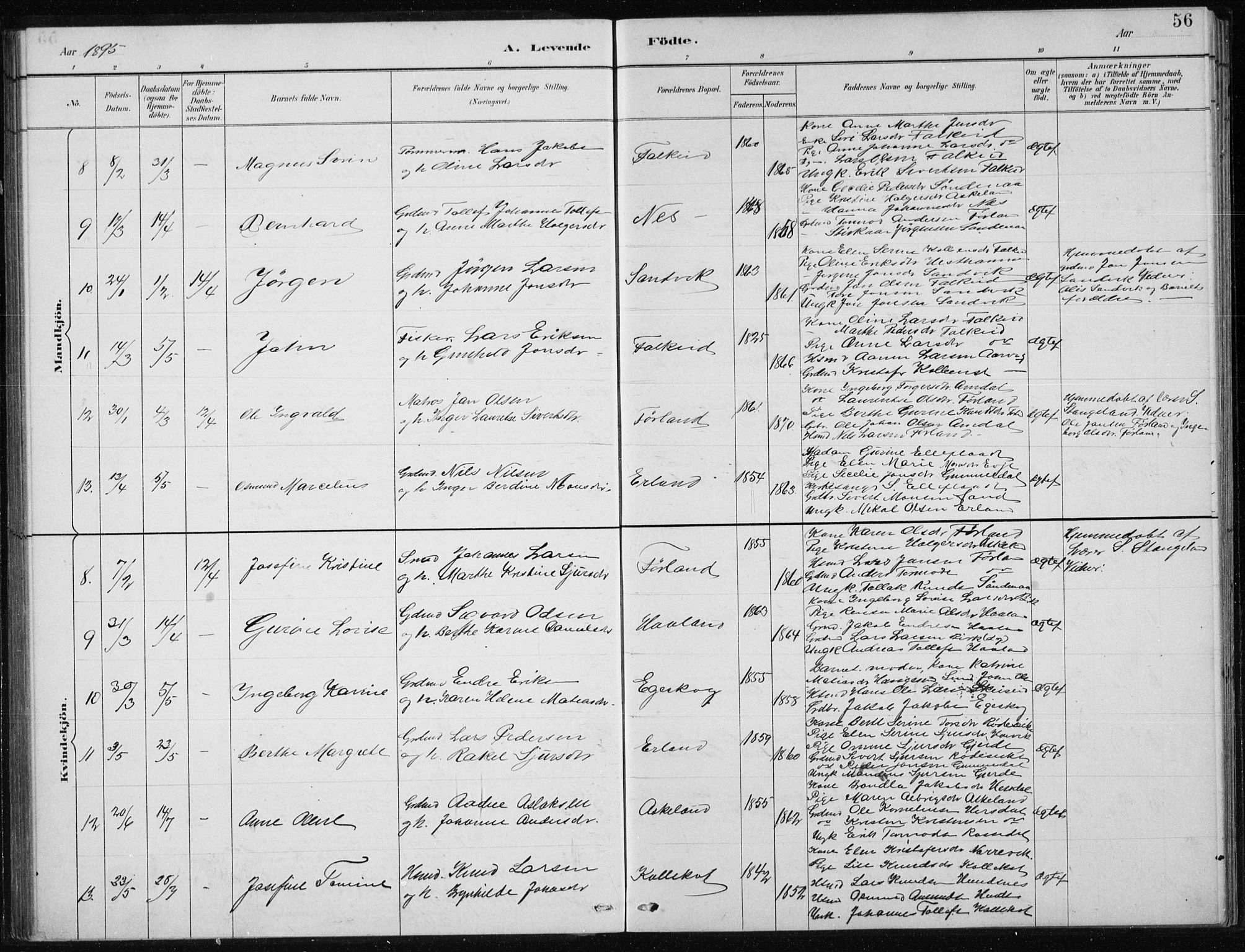 Tysvær sokneprestkontor, AV/SAST-A -101864/H/Ha/Hab/L0004: Parish register (copy) no. B 4, 1883-1896, p. 56