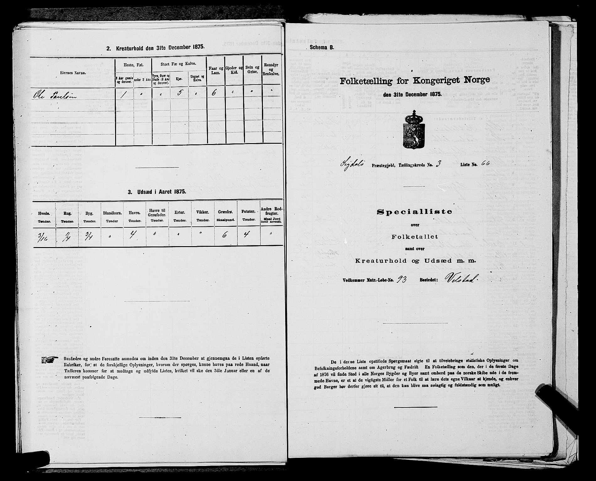 SAKO, 1875 census for 0621P Sigdal, 1875, p. 556