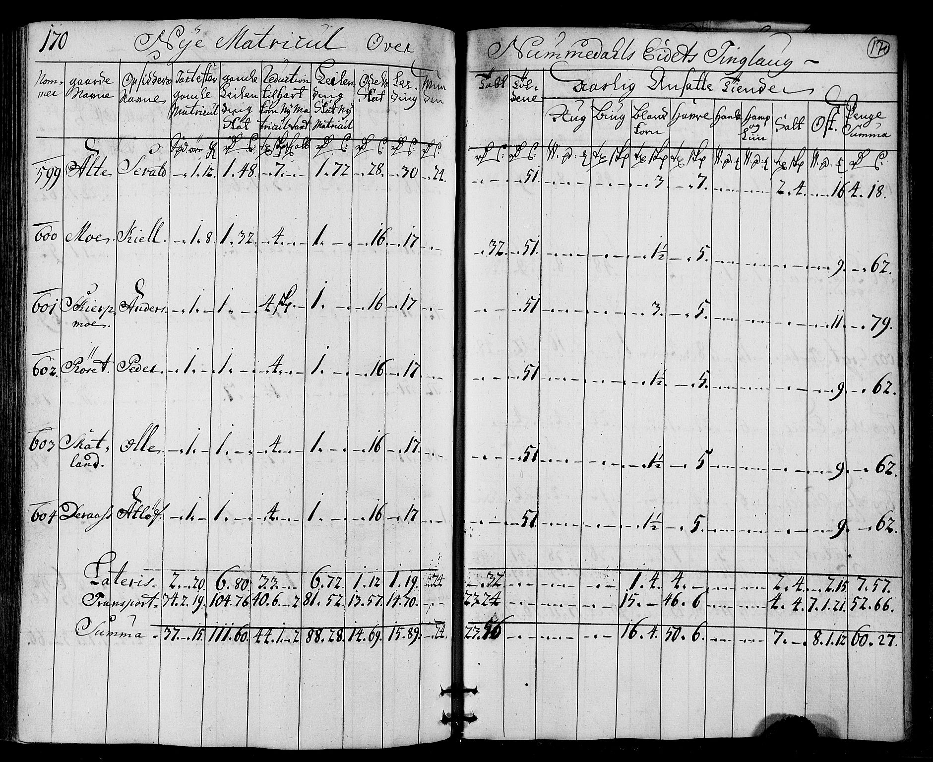 Rentekammeret inntil 1814, Realistisk ordnet avdeling, AV/RA-EA-4070/N/Nb/Nbf/L0169: Namdalen matrikkelprotokoll, 1723, p. 175