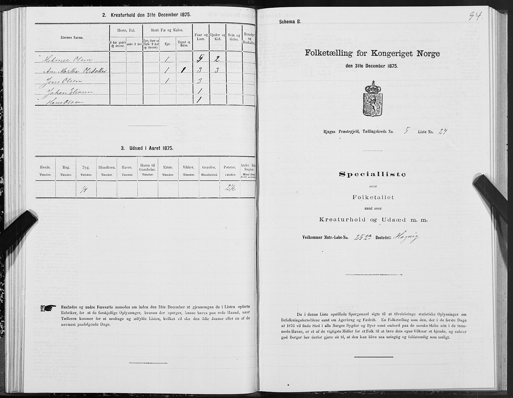 SAT, 1875 census for 1627P Bjugn, 1875, p. 3094