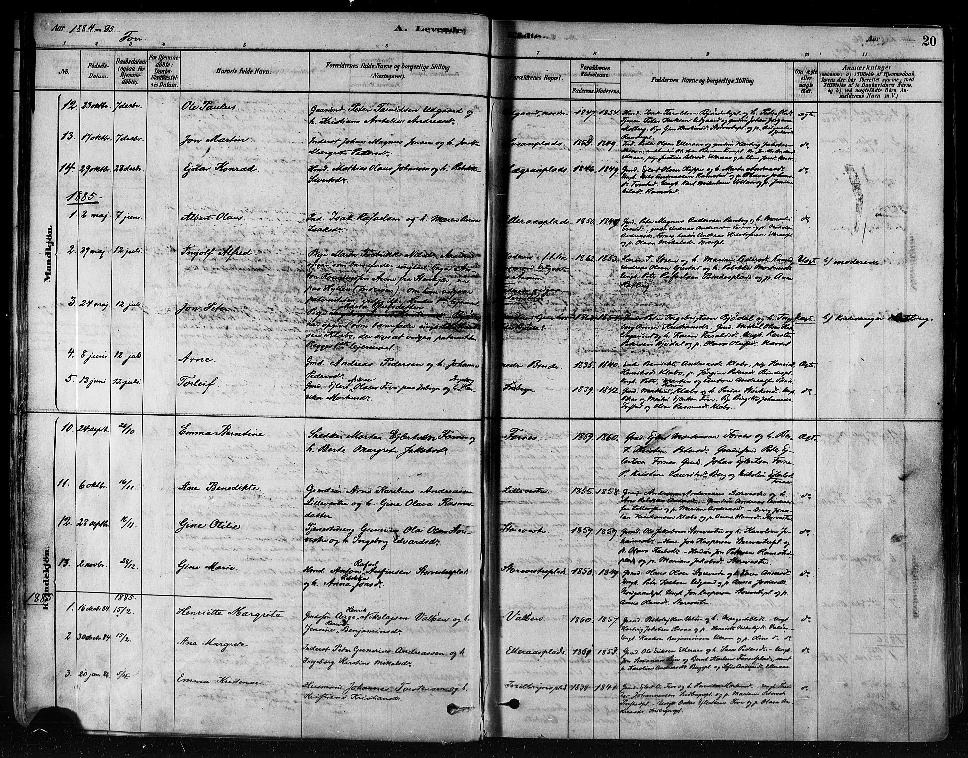 Ministerialprotokoller, klokkerbøker og fødselsregistre - Nord-Trøndelag, SAT/A-1458/746/L0448: Parish register (official) no. 746A07 /1, 1878-1900, p. 20