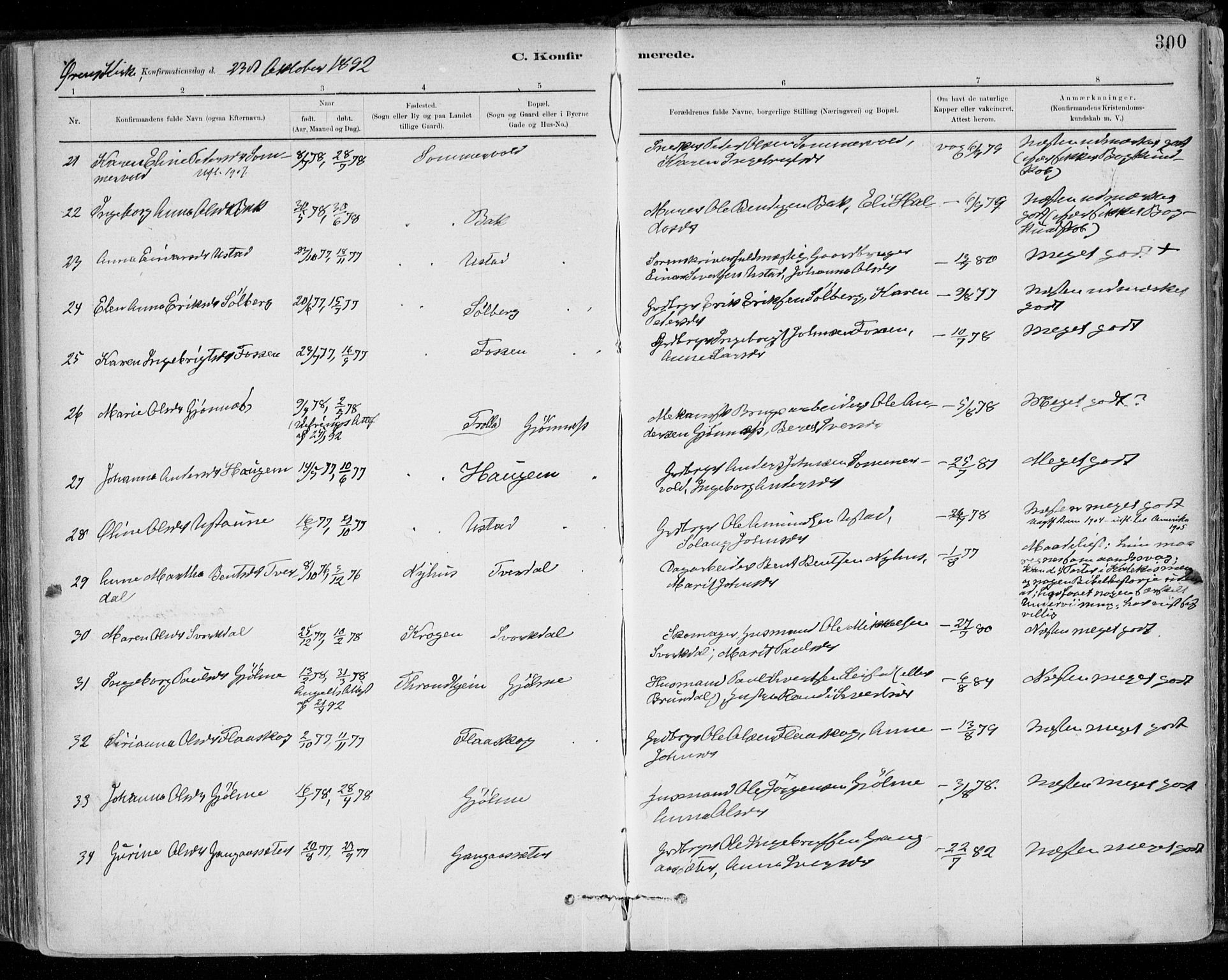 Ministerialprotokoller, klokkerbøker og fødselsregistre - Sør-Trøndelag, SAT/A-1456/668/L0809: Parish register (official) no. 668A09, 1881-1895, p. 300