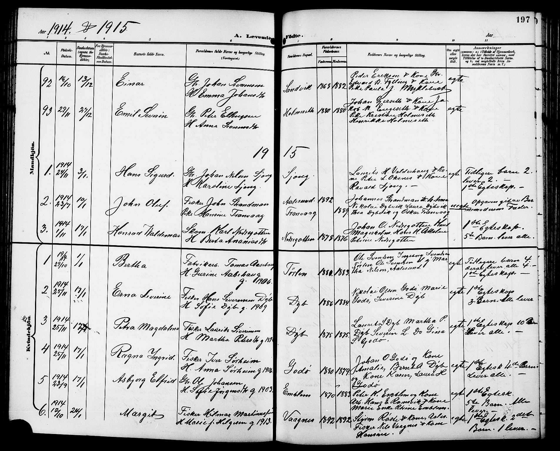 Ministerialprotokoller, klokkerbøker og fødselsregistre - Møre og Romsdal, SAT/A-1454/528/L0432: Parish register (copy) no. 528C13, 1898-1918, p. 197
