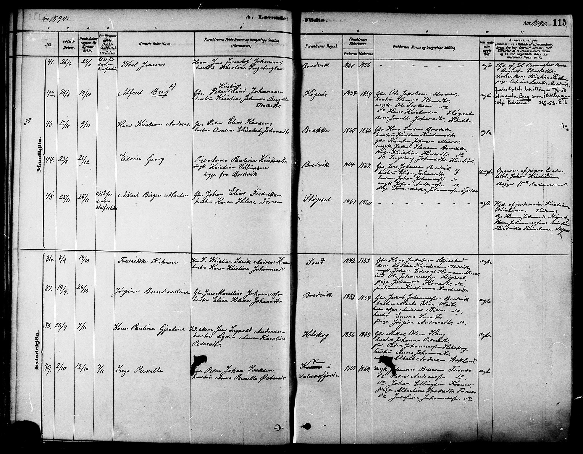 Ministerialprotokoller, klokkerbøker og fødselsregistre - Nordland, AV/SAT-A-1459/852/L0740: Parish register (official) no. 852A10, 1878-1894, p. 115