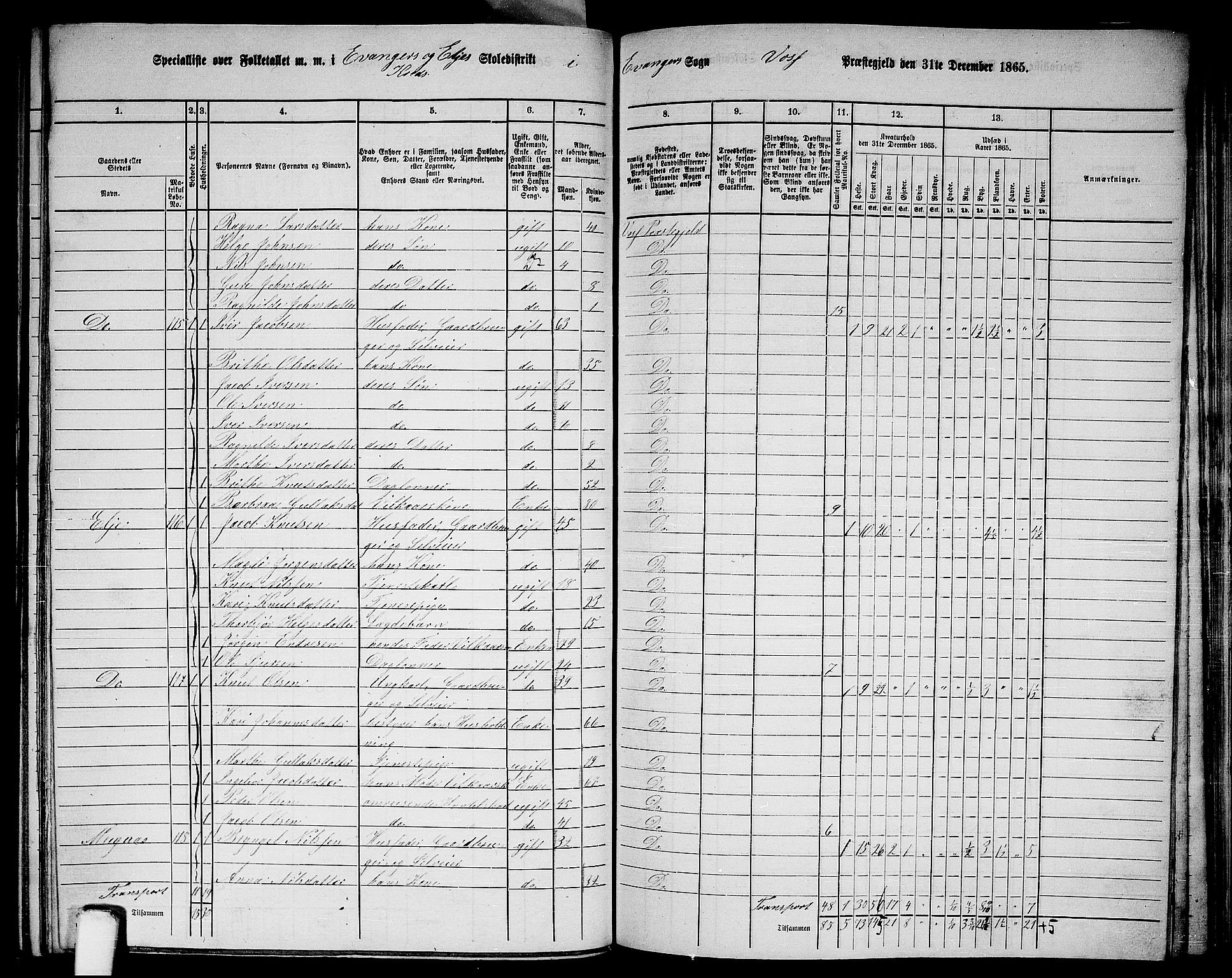 RA, 1865 census for Voss, 1865, p. 371