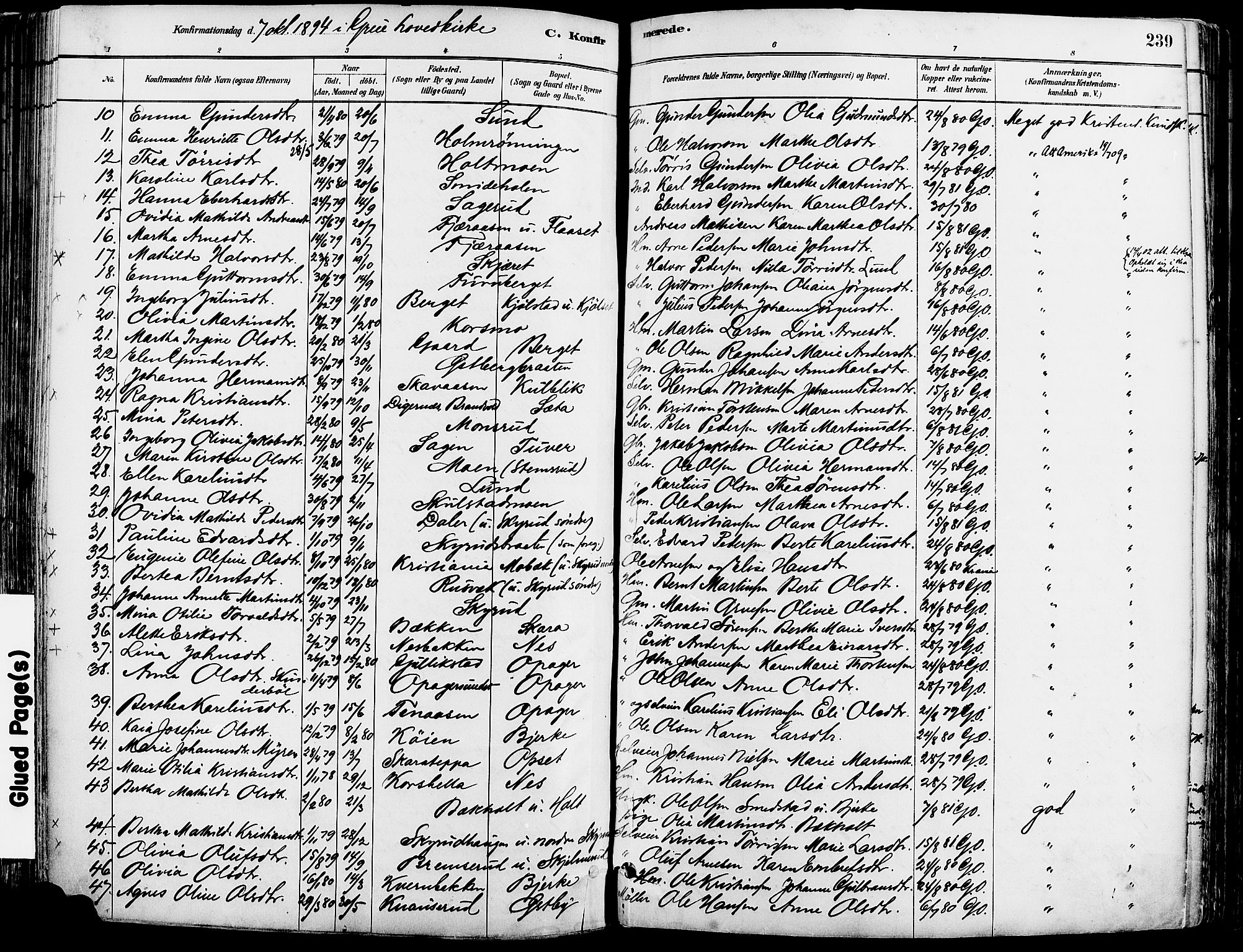 Grue prestekontor, AV/SAH-PREST-036/H/Ha/Haa/L0012: Parish register (official) no. 12, 1881-1897, p. 239