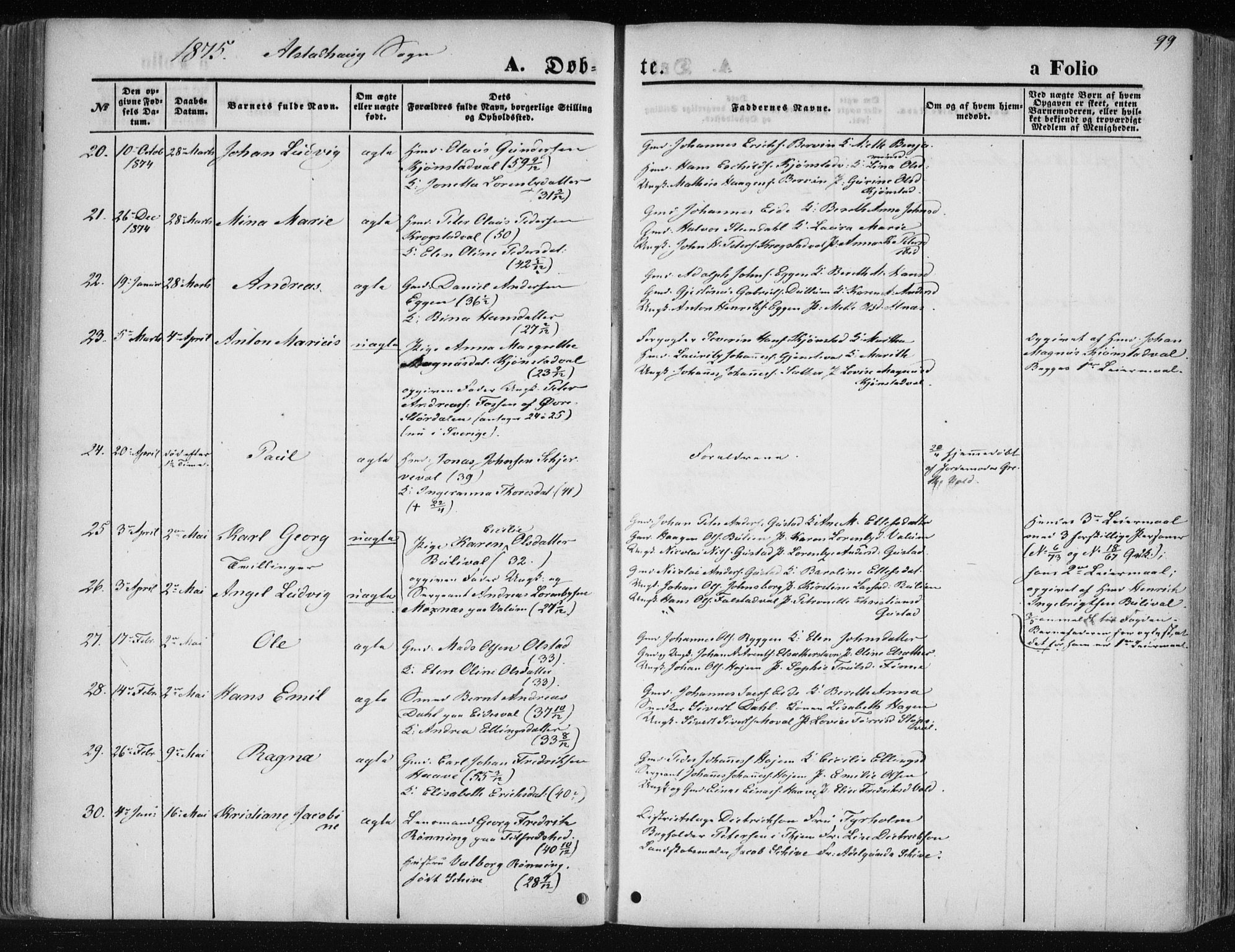 Ministerialprotokoller, klokkerbøker og fødselsregistre - Nord-Trøndelag, AV/SAT-A-1458/717/L0157: Parish register (official) no. 717A08 /1, 1863-1877, p. 99