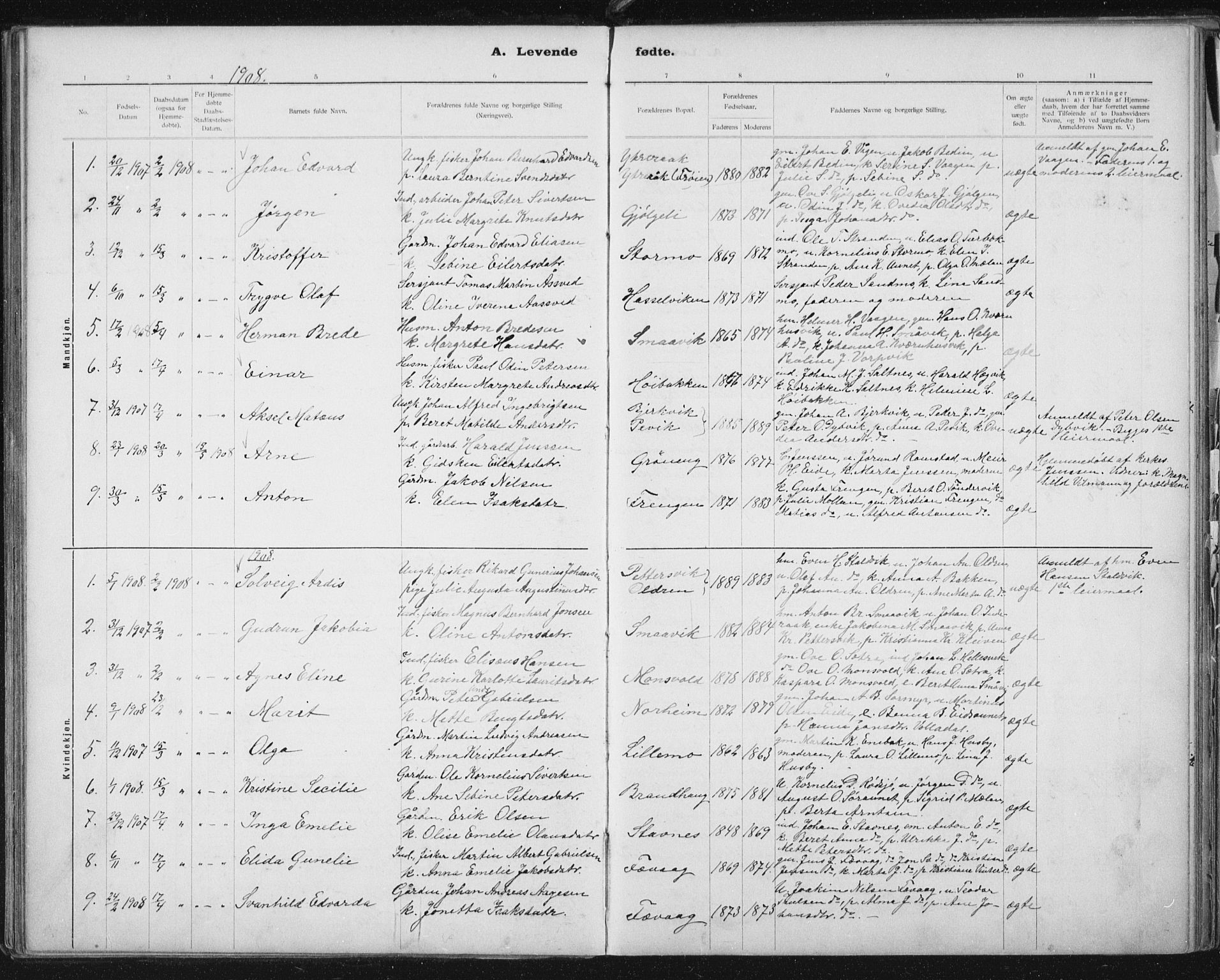 Ministerialprotokoller, klokkerbøker og fødselsregistre - Sør-Trøndelag, AV/SAT-A-1456/653/L0660: Parish register (copy) no. 653C04, 1894-1919