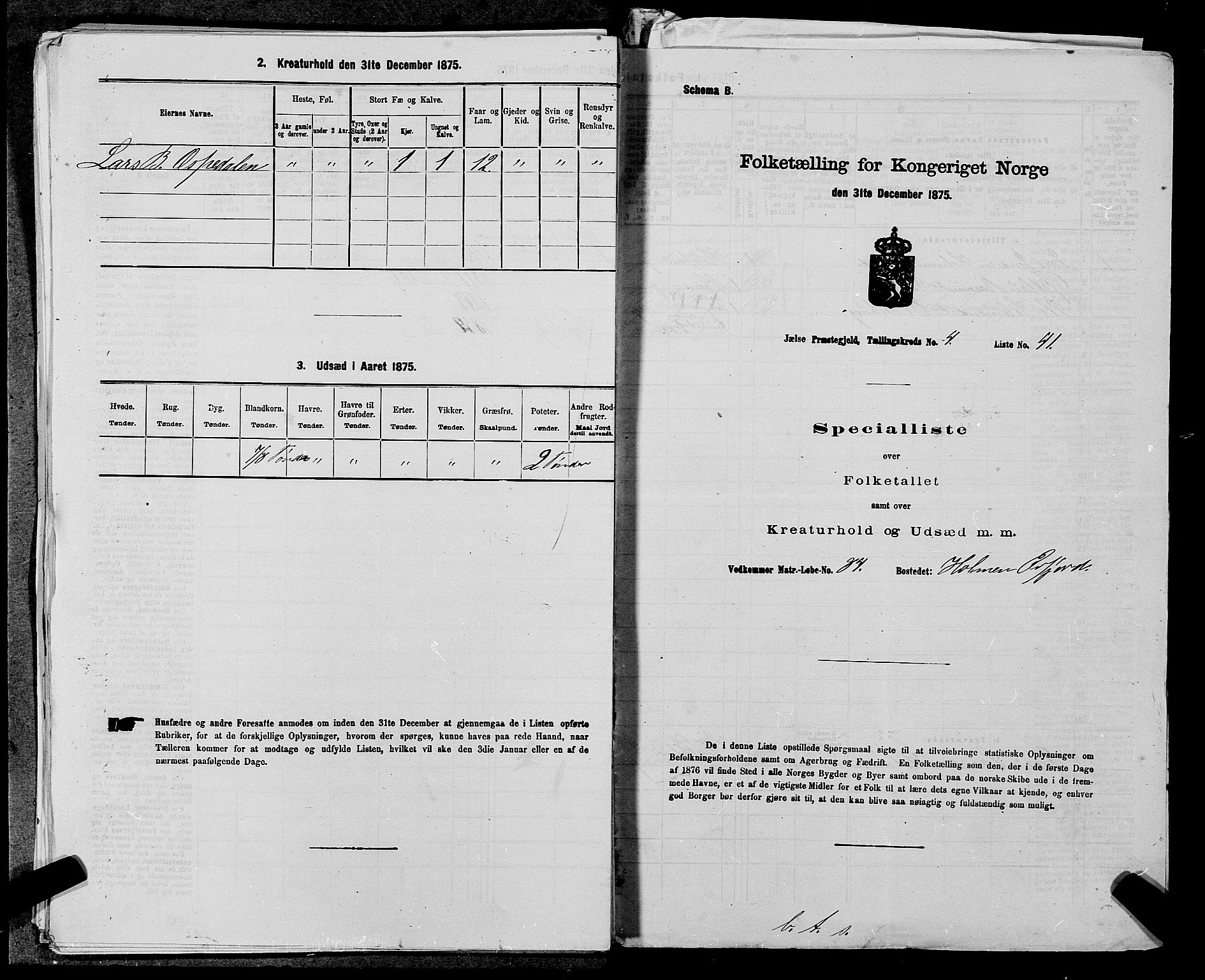 SAST, 1875 census for 1138P Jelsa, 1875, p. 406