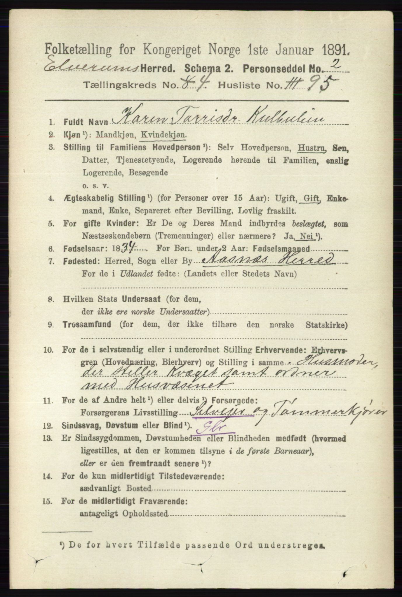 RA, 1891 census for 0427 Elverum, 1891, p. 2924