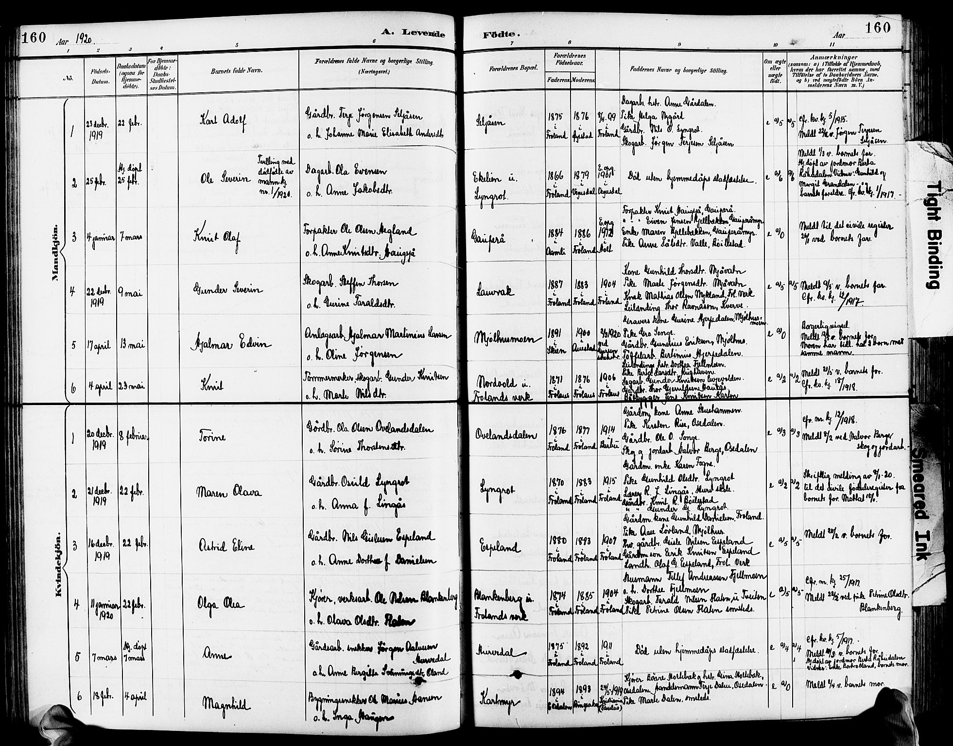 Froland sokneprestkontor, SAK/1111-0013/F/Fb/L0010: Parish register (copy) no. B 10, 1893-1920, p. 160