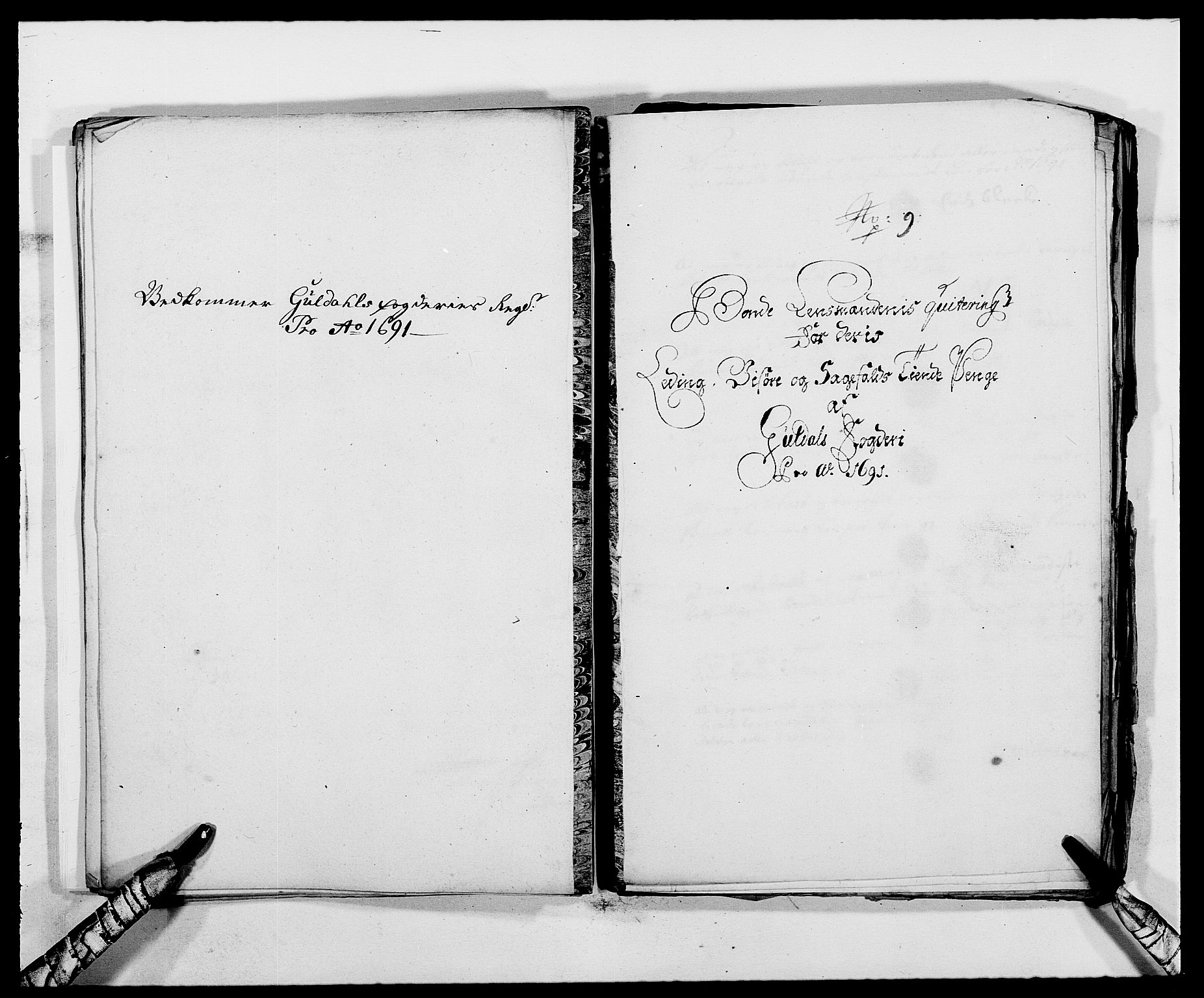 Rentekammeret inntil 1814, Reviderte regnskaper, Fogderegnskap, RA/EA-4092/R59/L3941: Fogderegnskap Gauldal, 1691, p. 199