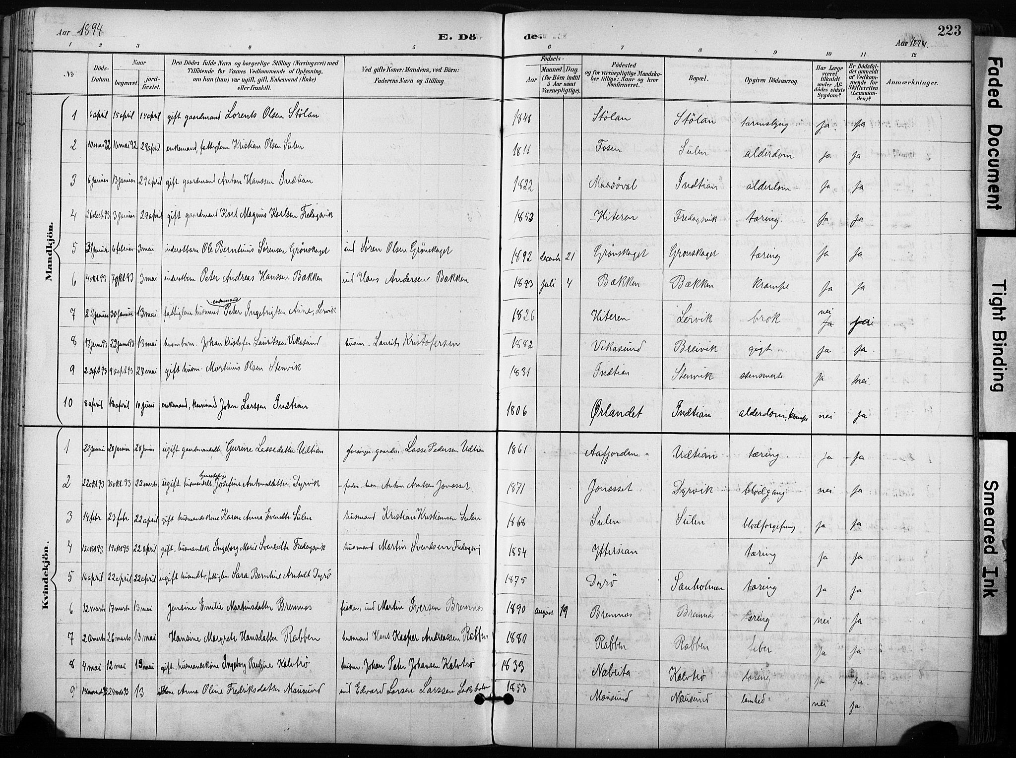 Ministerialprotokoller, klokkerbøker og fødselsregistre - Sør-Trøndelag, SAT/A-1456/640/L0579: Parish register (official) no. 640A04, 1889-1902, p. 223