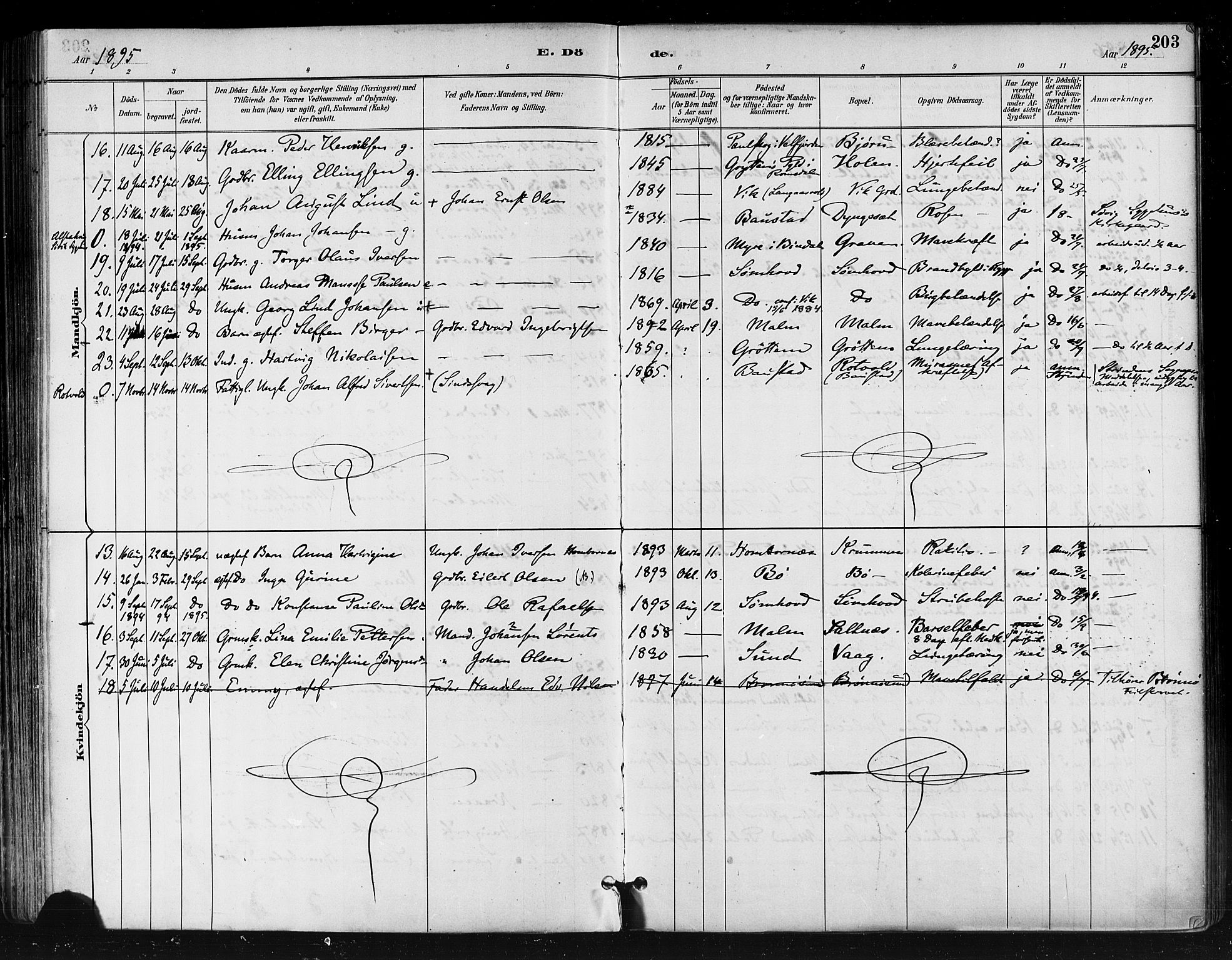 Ministerialprotokoller, klokkerbøker og fødselsregistre - Nordland, AV/SAT-A-1459/812/L0178: Parish register (official) no. 812A07, 1886-1900, p. 203