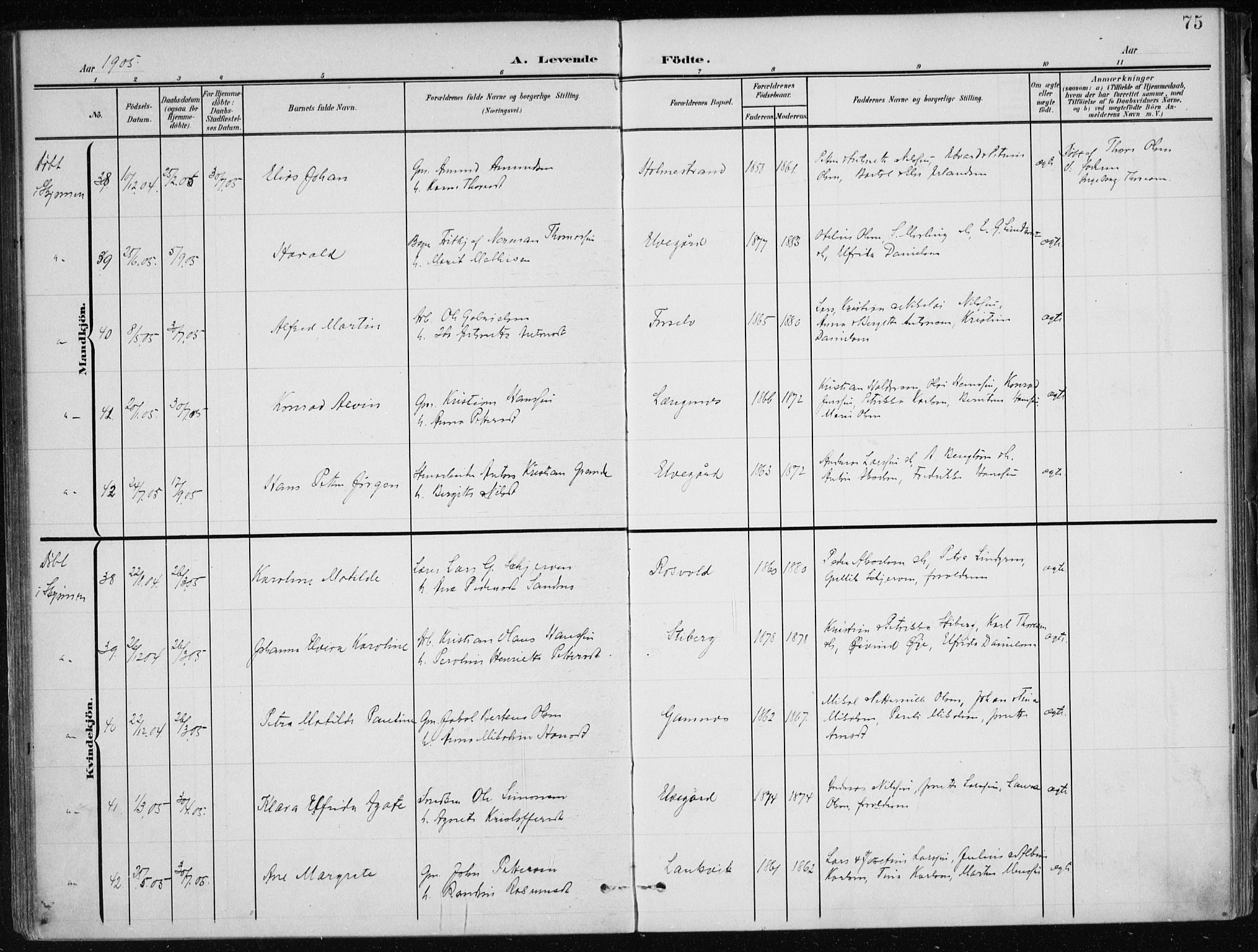 Ministerialprotokoller, klokkerbøker og fødselsregistre - Nordland, AV/SAT-A-1459/866/L0941: Parish register (official) no. 866A04, 1901-1917, p. 75