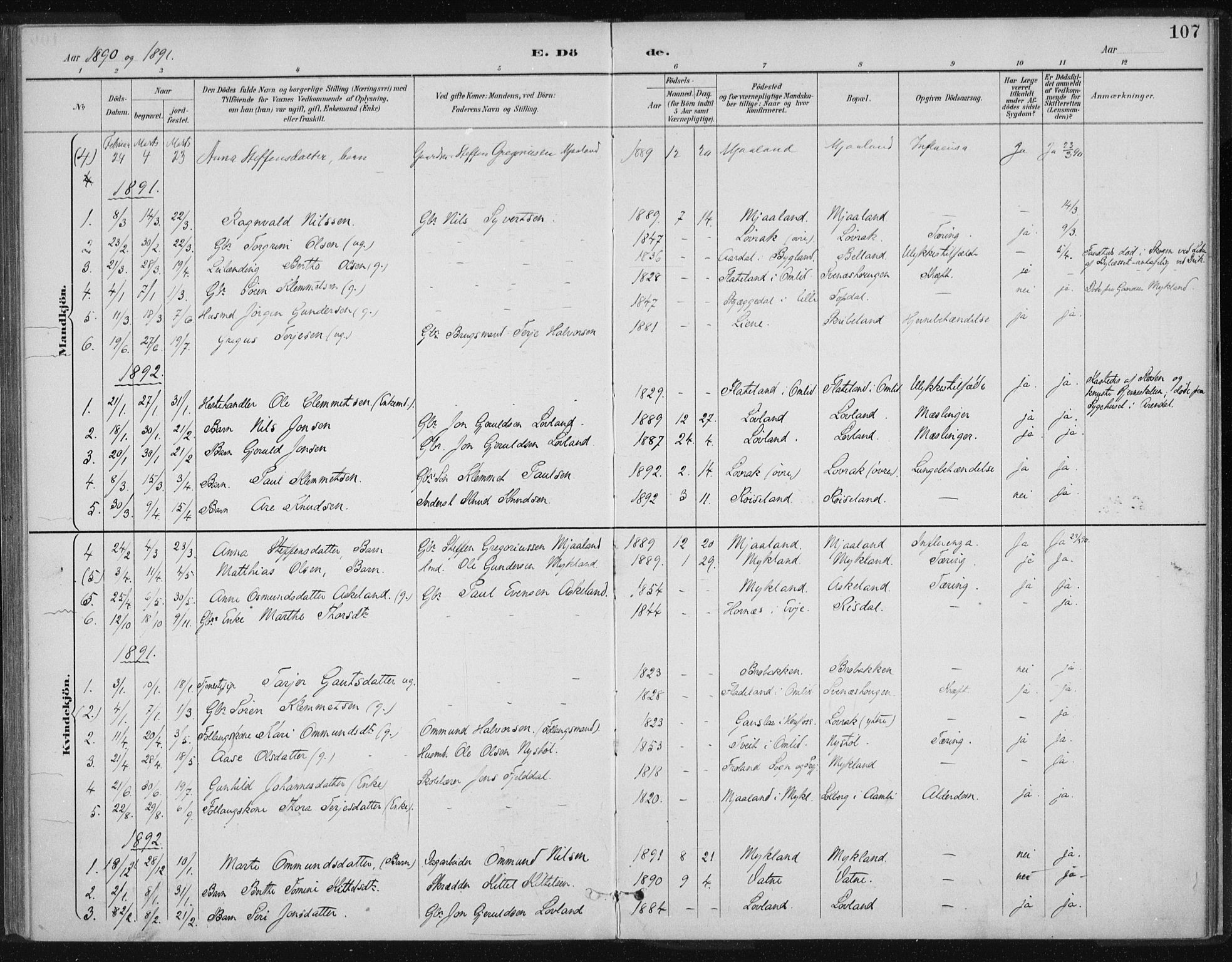 Herefoss sokneprestkontor, SAK/1111-0019/F/Fa/Fac/L0002: Parish register (official) no. A 2, 1887-1915, p. 107